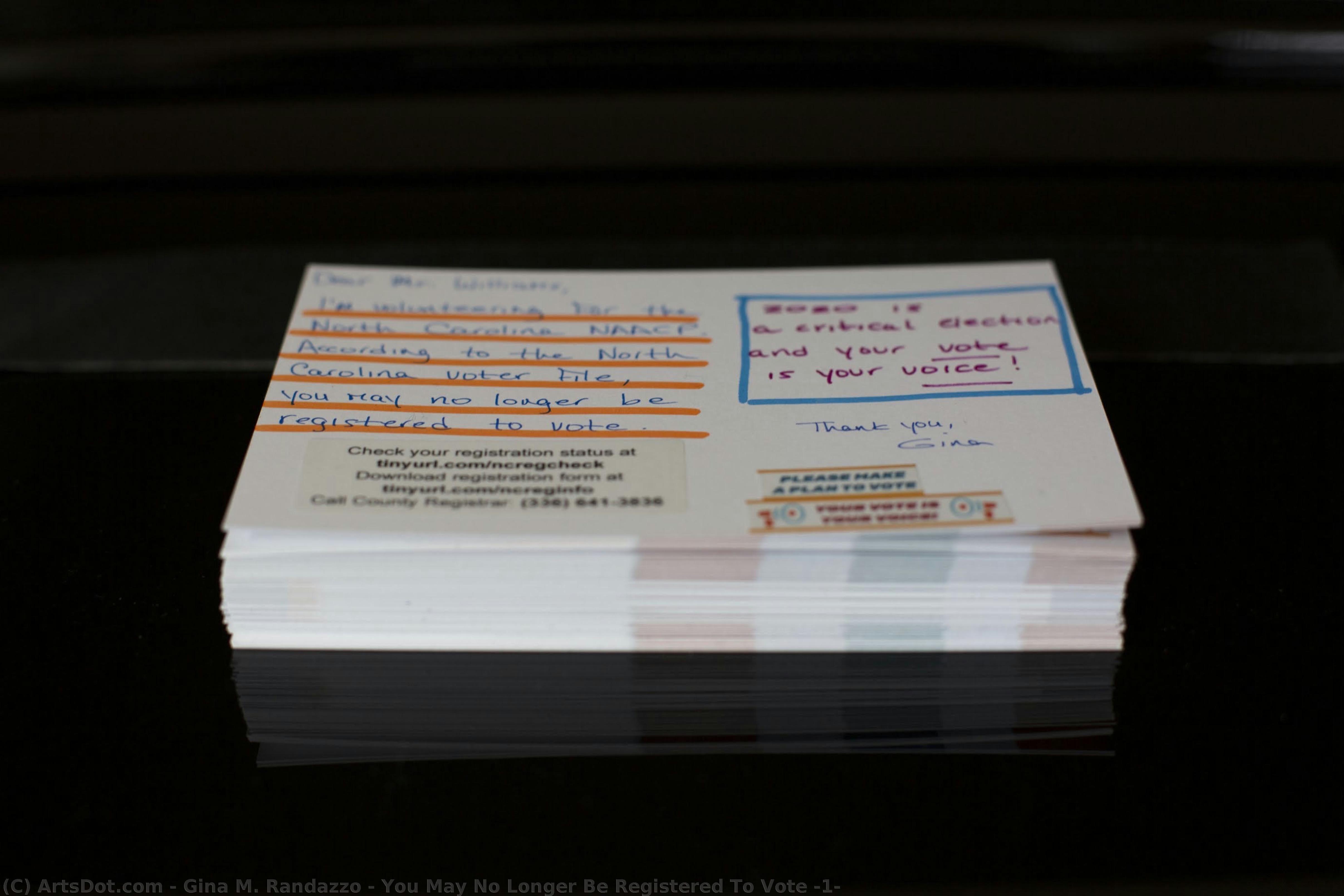 You May No Longer Be Registered To Vote (1) — Gina Randazzo