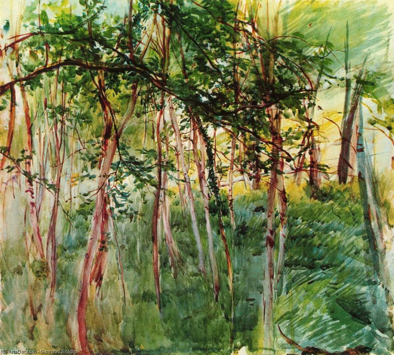 Trees In The Bois De Boulogne — Giovanni Boldini
