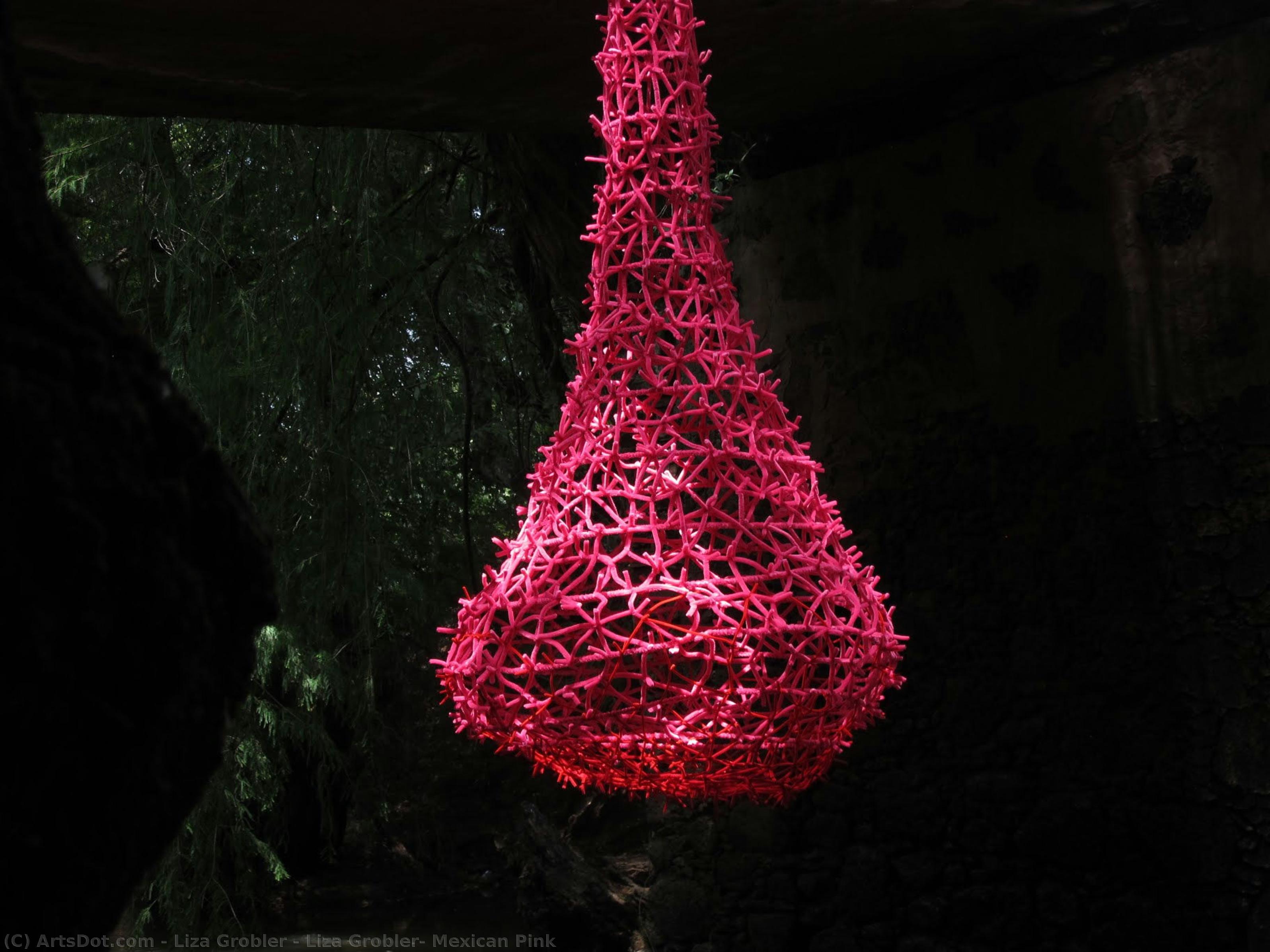 Liza Grobler, Mexican Pink — Liza Grobler