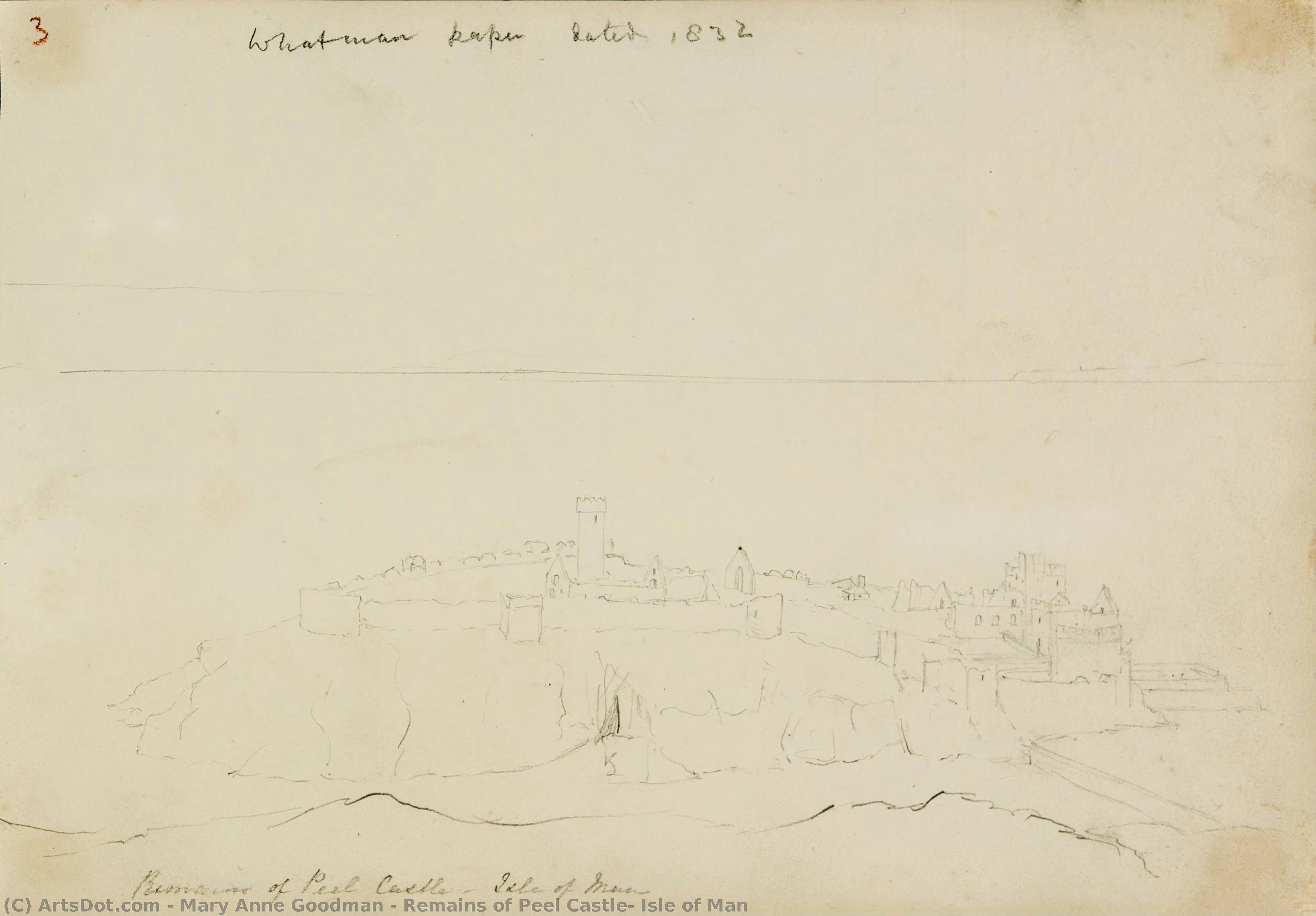 Remains Of Peel Castle, Isle Of Man — Mary Anne Goodman
