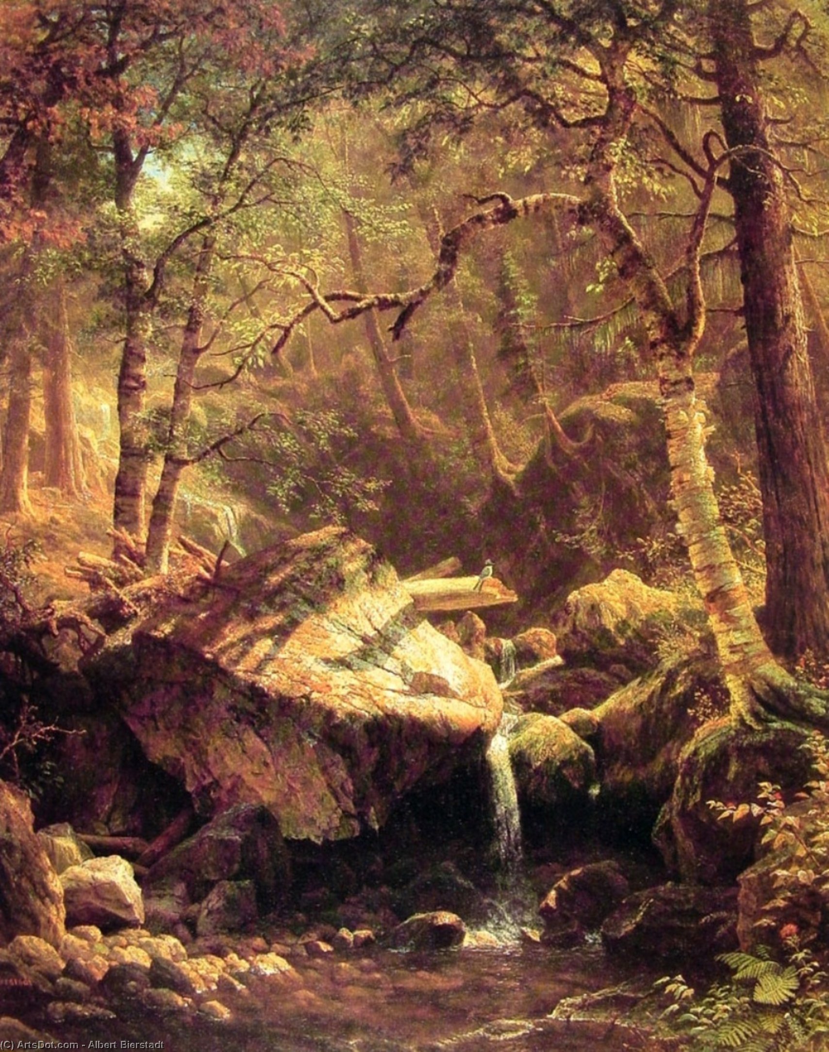 The Mountain Brook — アルベール・ビアシュタット