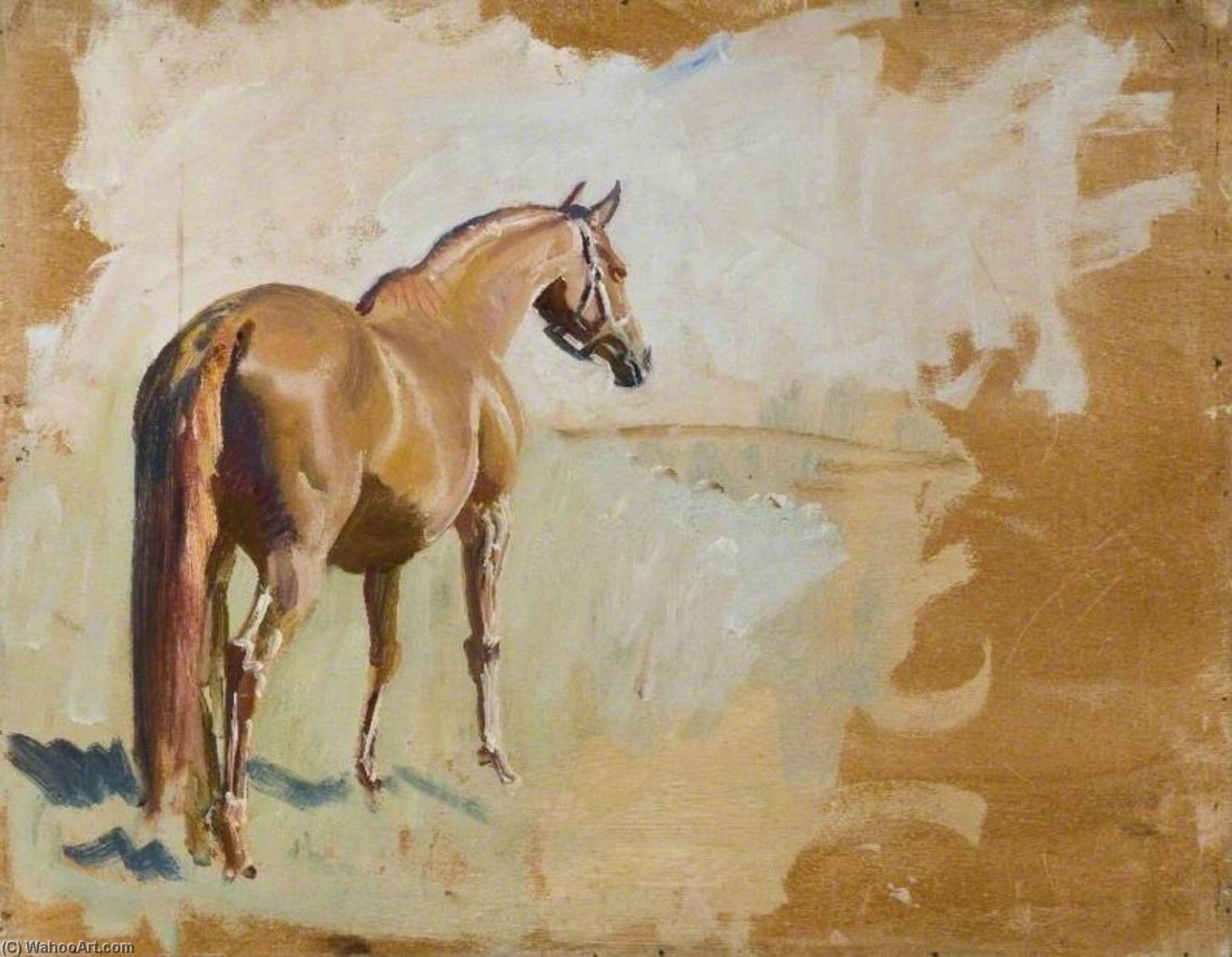 Study Of A Racehorse — Sir Alfred James Munnings