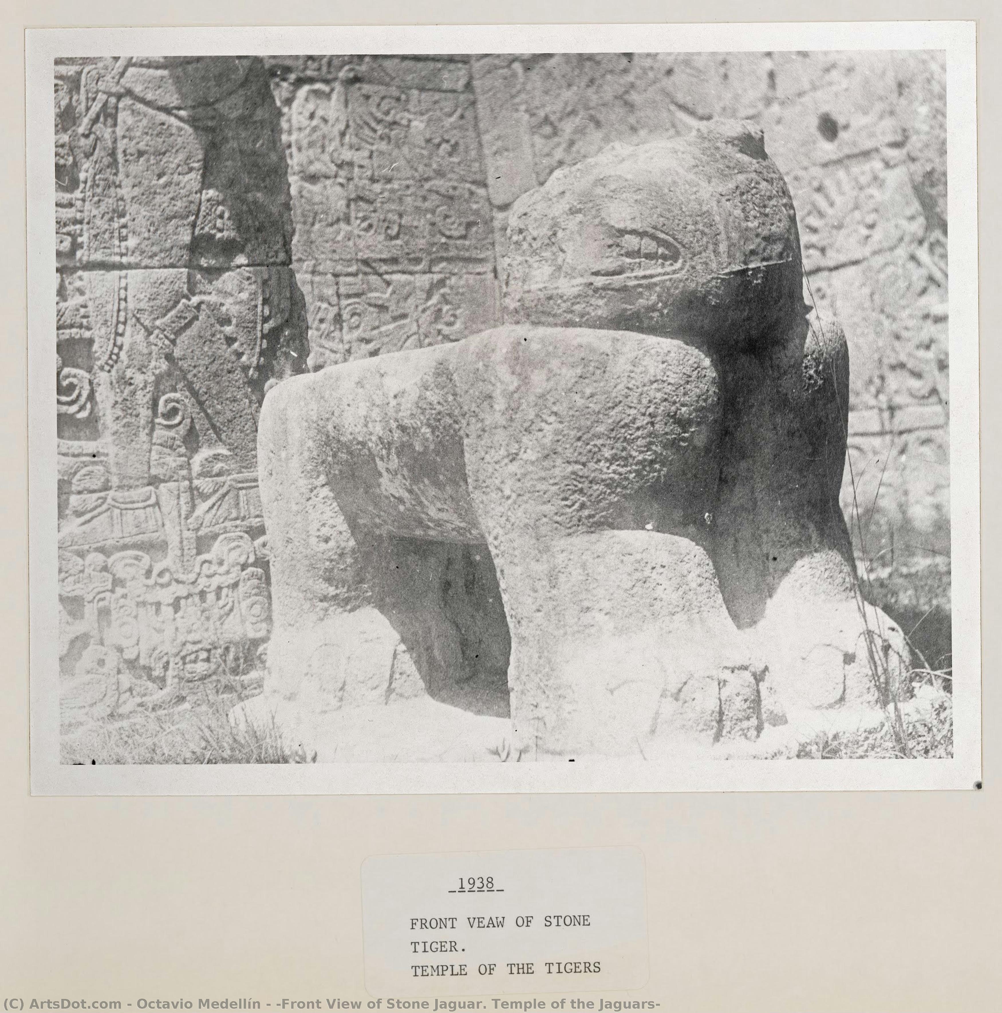 [front View Of Stone Jaguar. Temple Of The Jaguars] — オクタビオ・メデリン