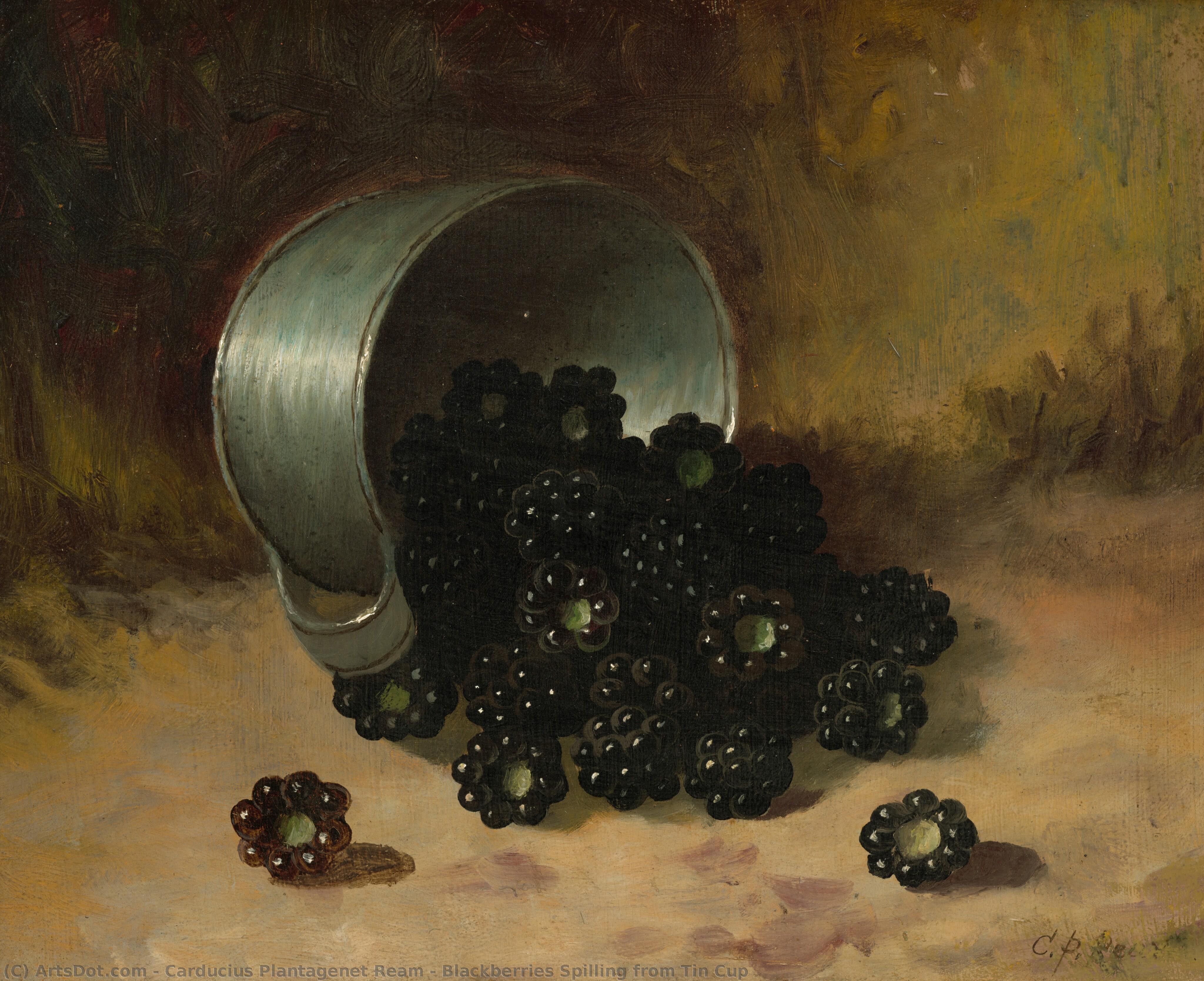Blackberries Spilling From Tin Cup — Carducius Plantagenet Ream