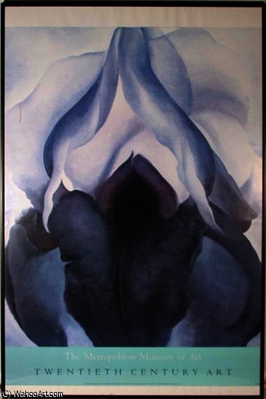 Metropolitan Museum Of Art — Georgia O'keeffe