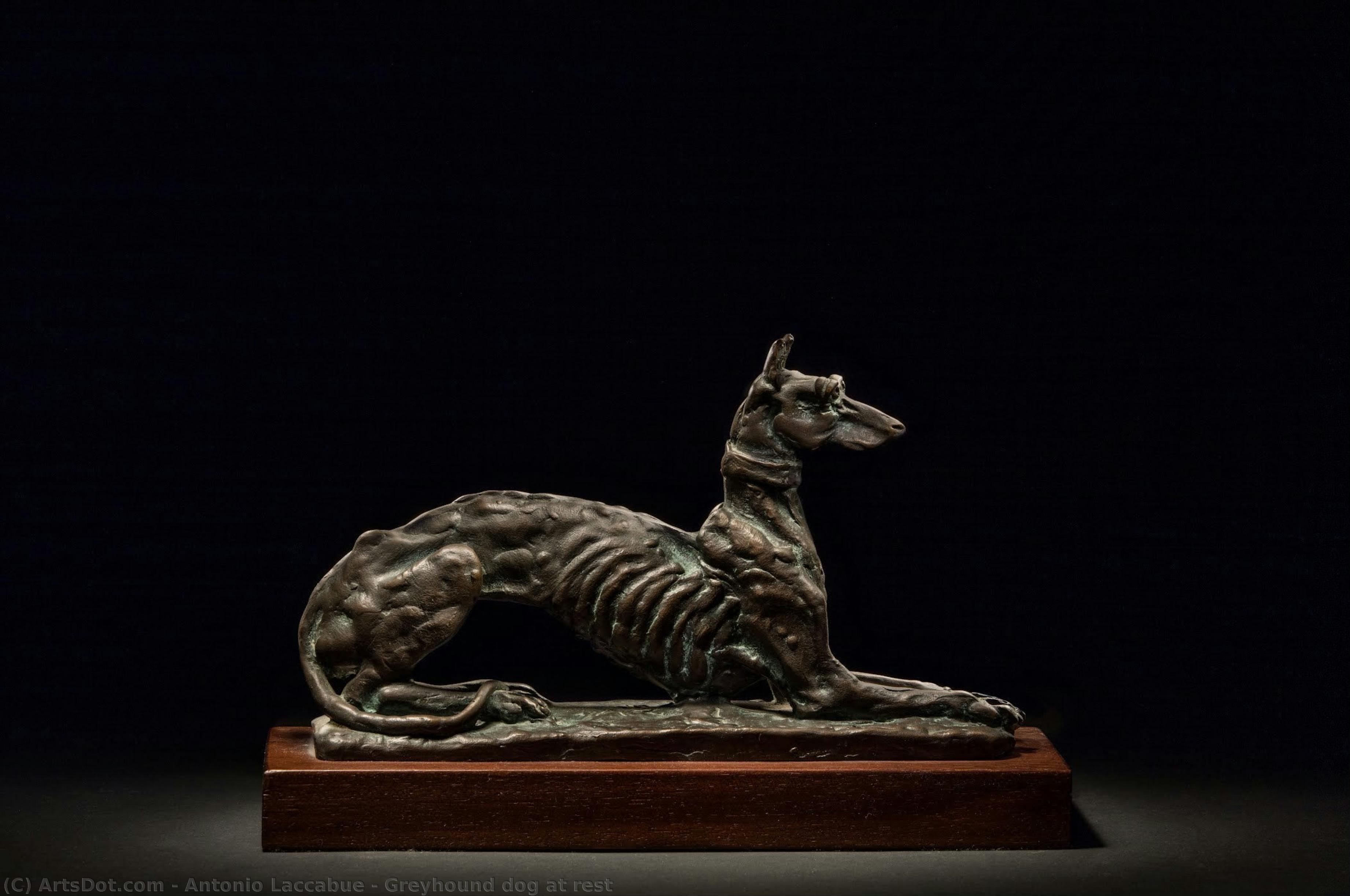 Greyhound Dog At Rest — Антонио Лаккабюэ