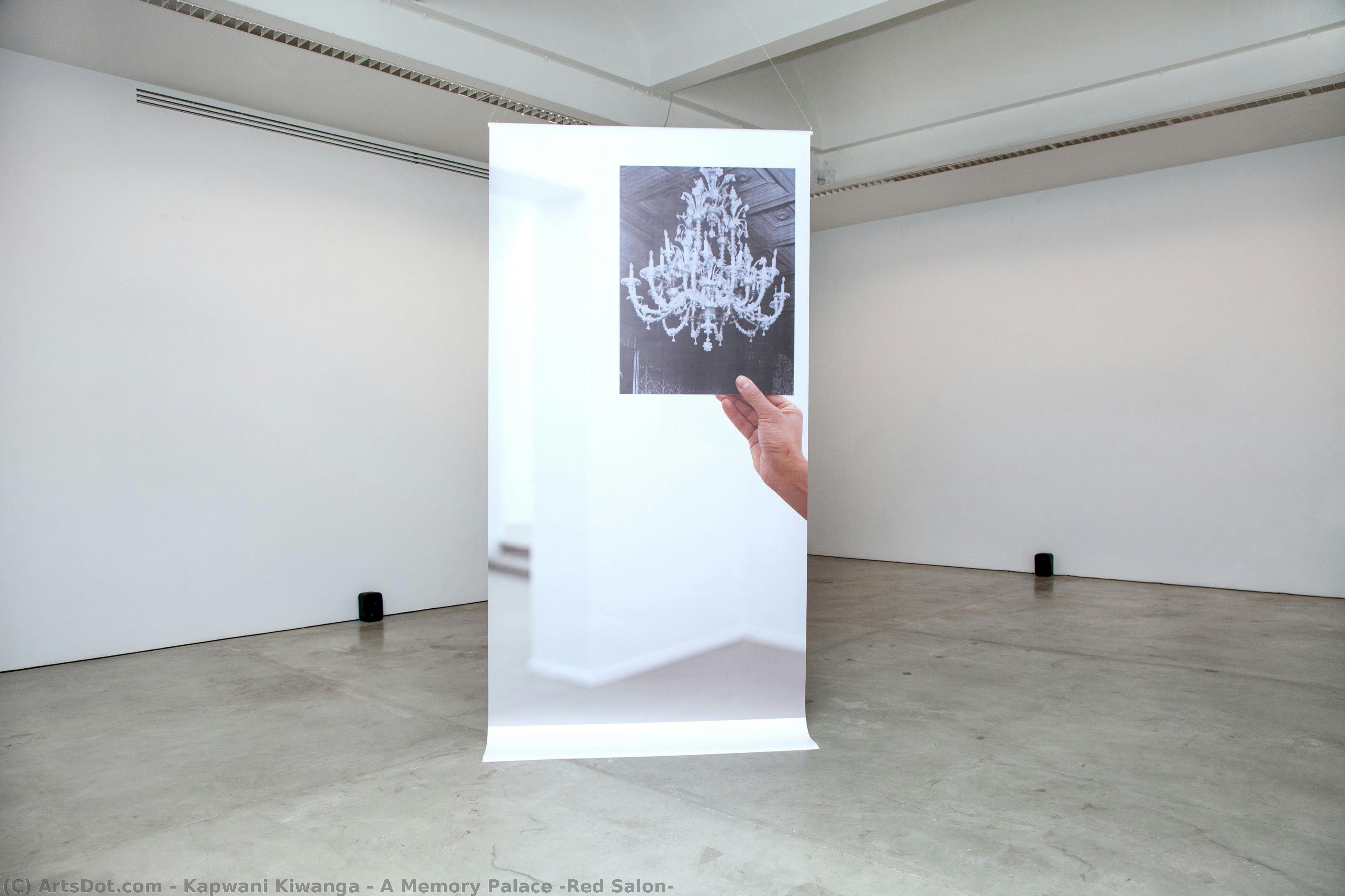A Memory Palace (red Salon) — Kapwani Kiwanga