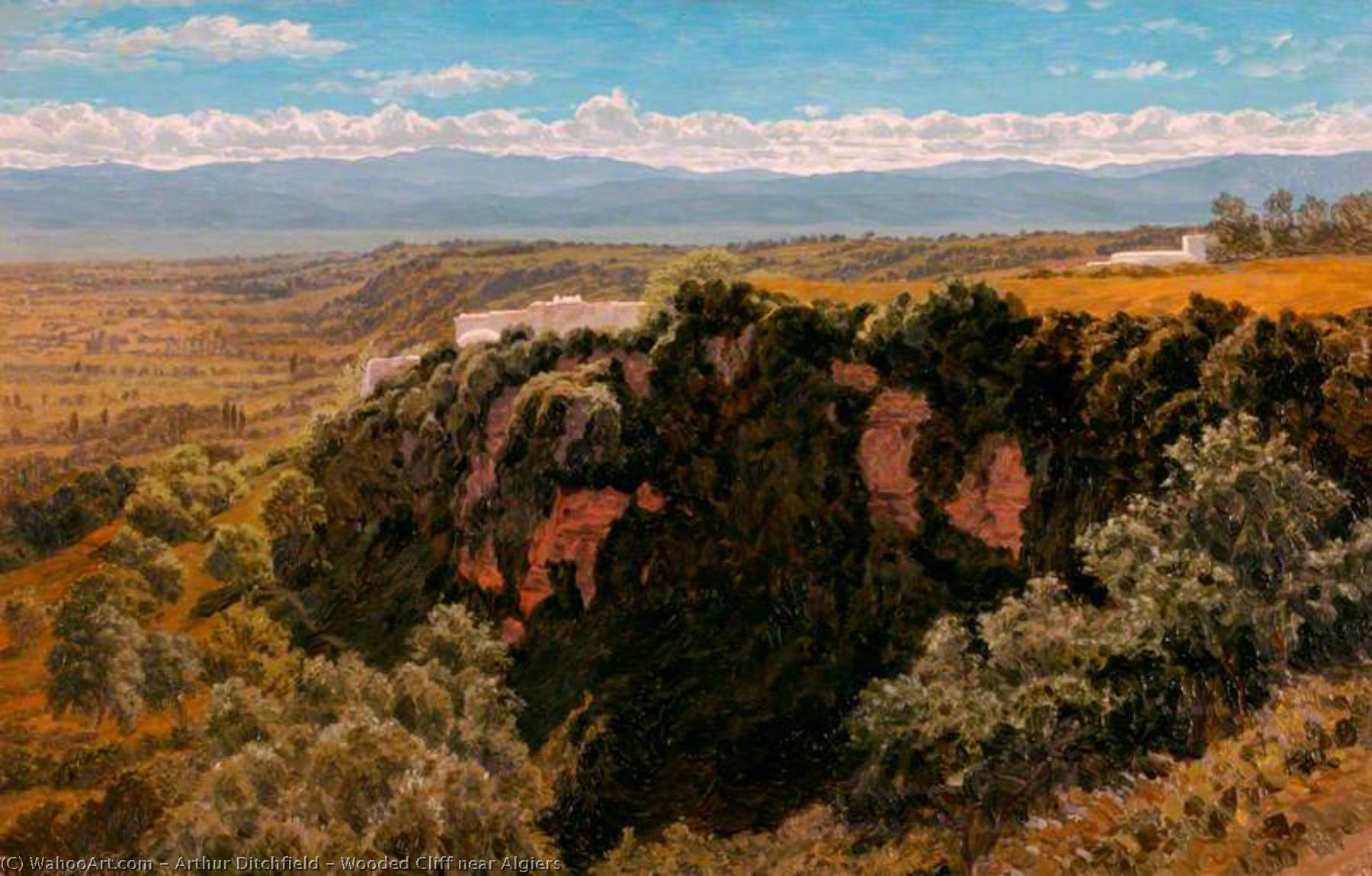 Wooded Cliff Near Algiers — Arthur Ditchfield
