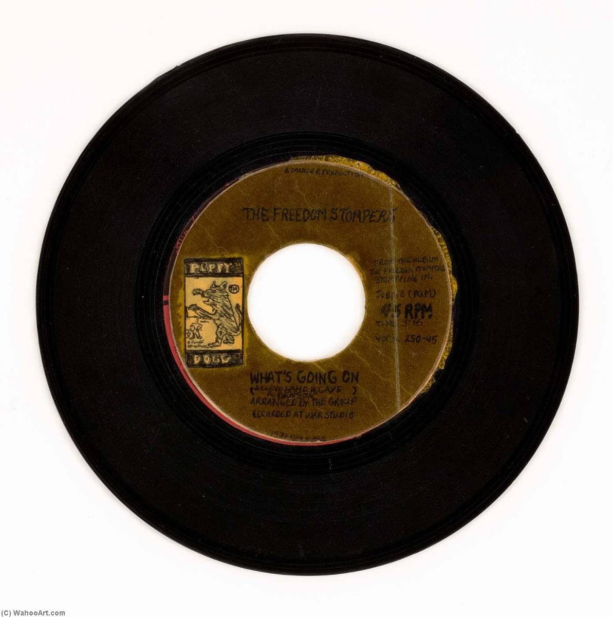 The Freedom Stompers What's Going On There's Nothing Wrong With You Baby — Mingering Mike