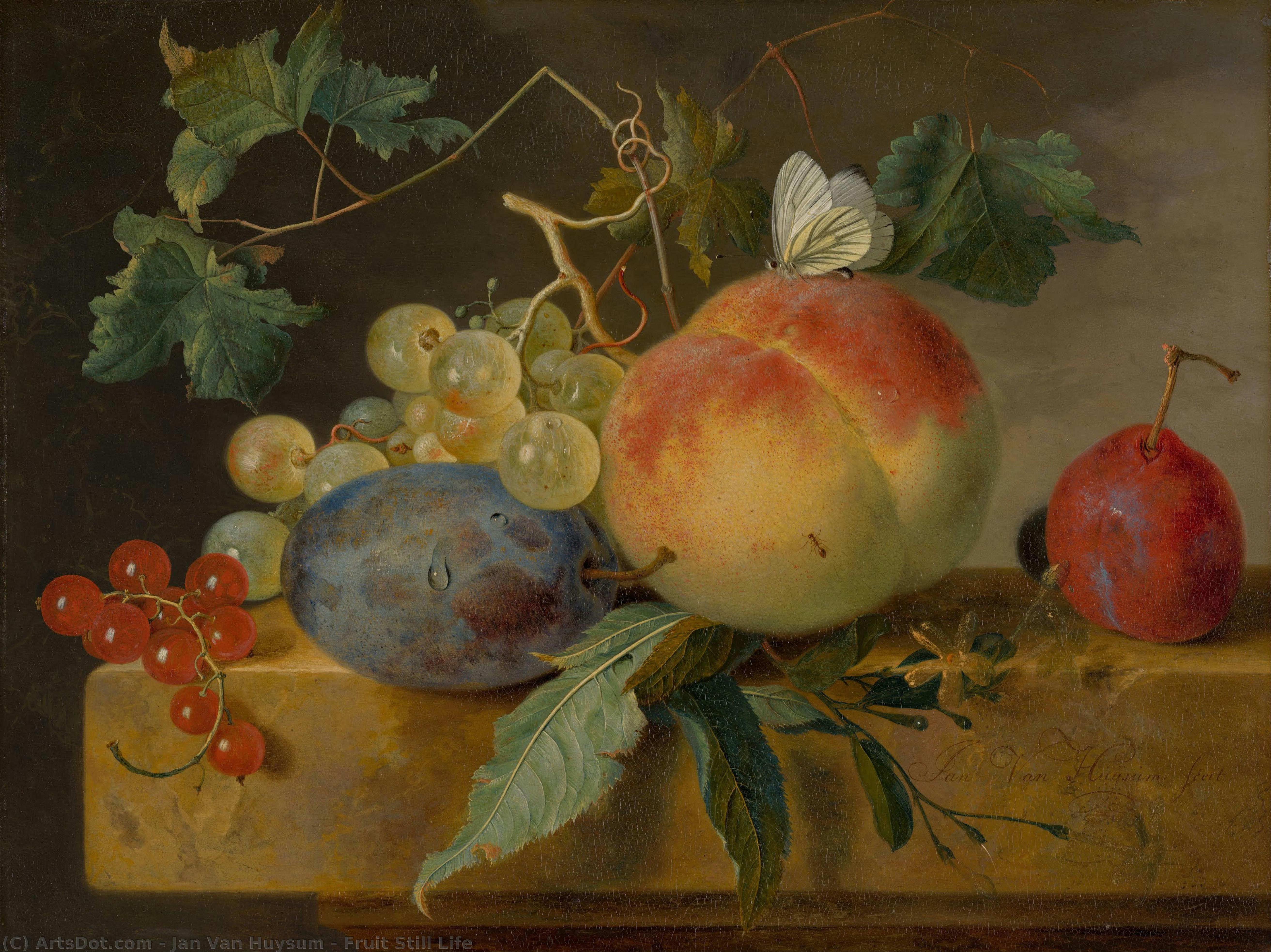 Naturaleza Muerta Con Frutas — Jan Van Huysum