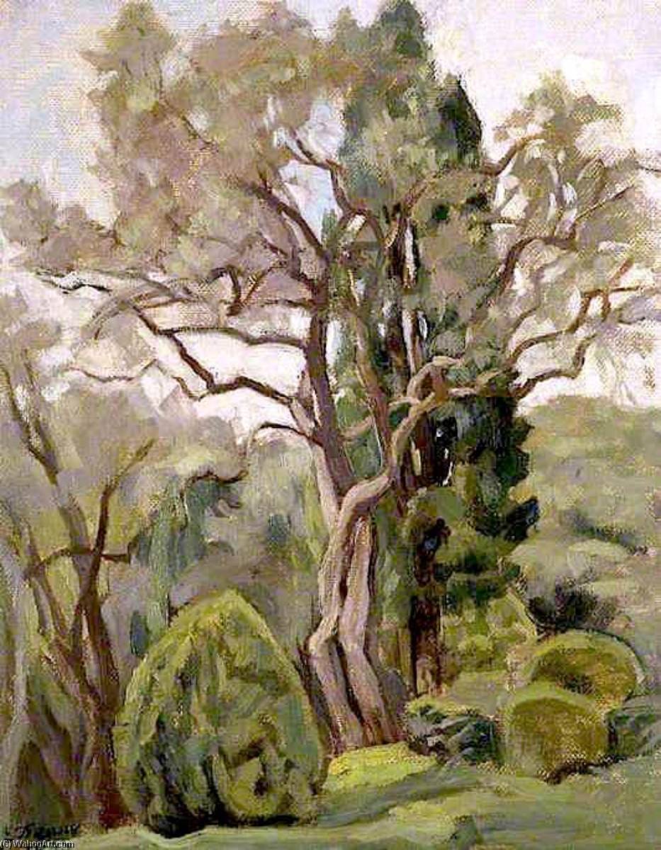 The Garden At Rezzolla, Pugliola, Italy — Emmeline Deane