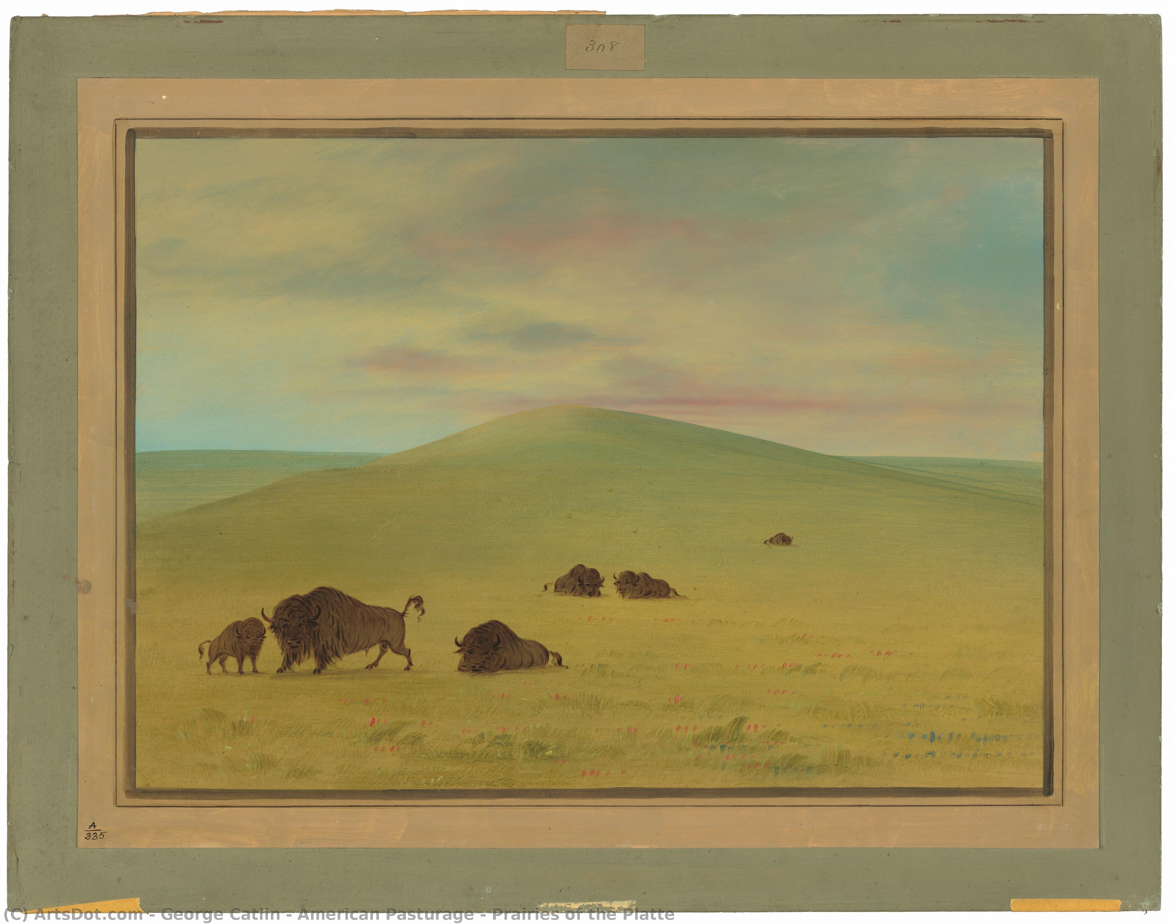 American Pasturage - Prairies Of The Platte — George Catlin