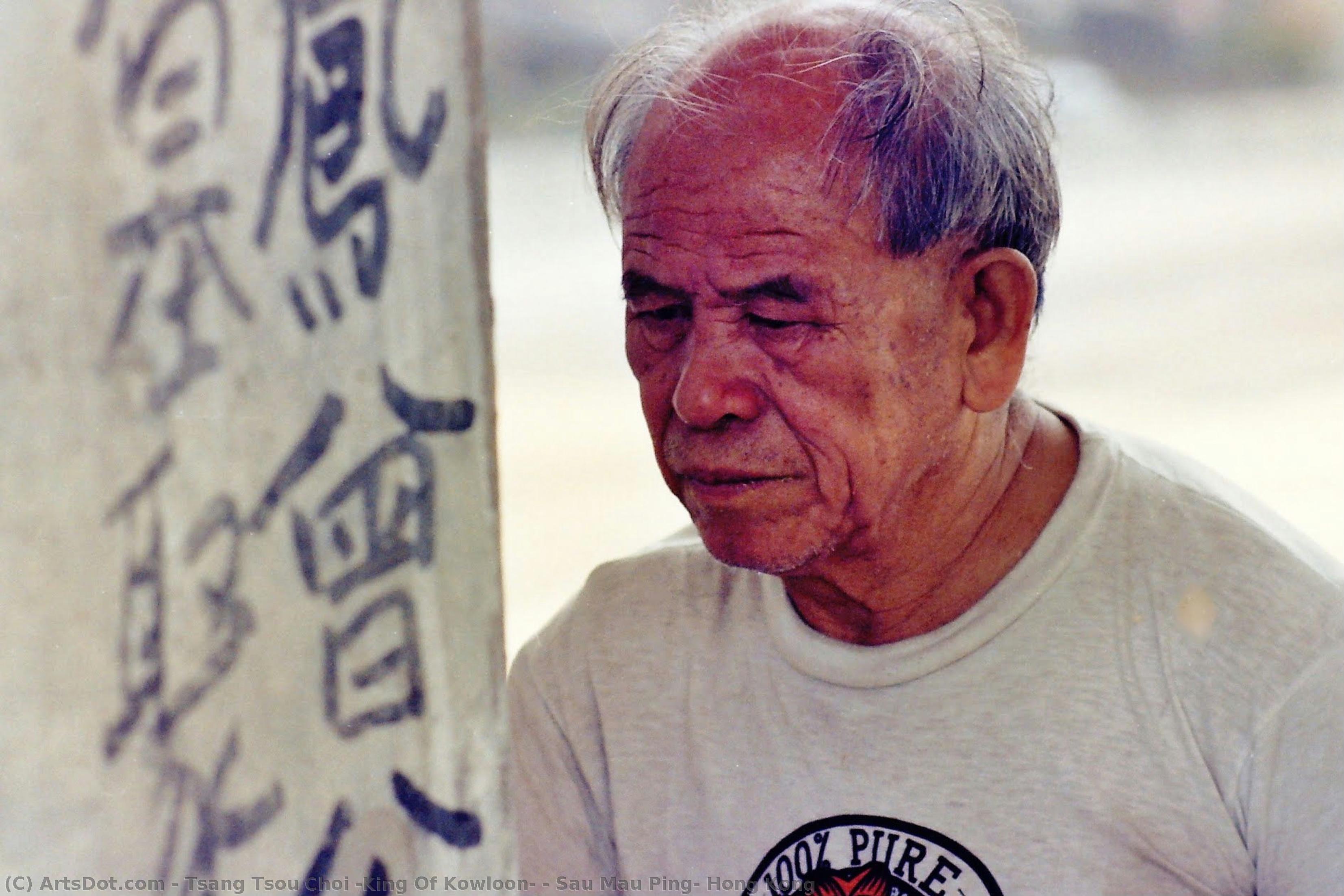Sau Mau Ping, Hong Kong — Tsang Tsou Choi (king Of Kowloon)