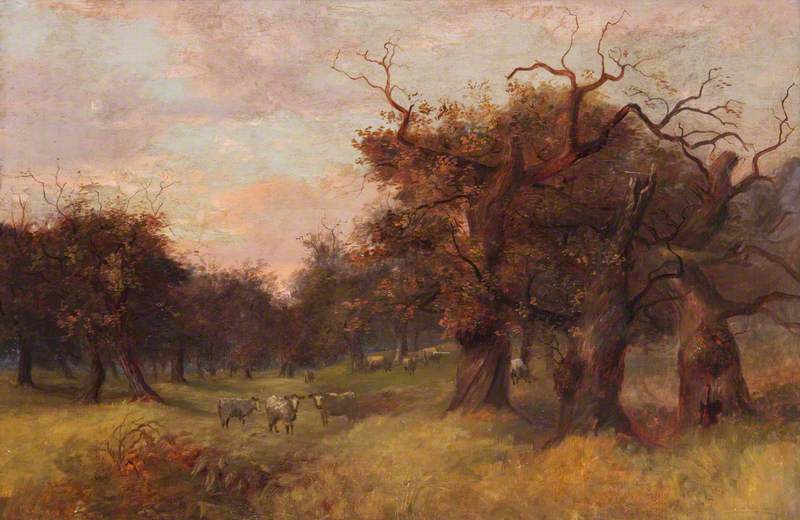 Cadzow Forest — John Chalmers