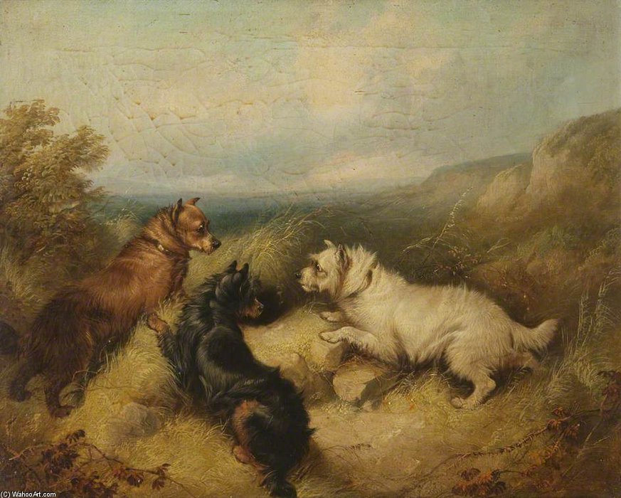 Three Dogs — Джордж Армфилд (смит)