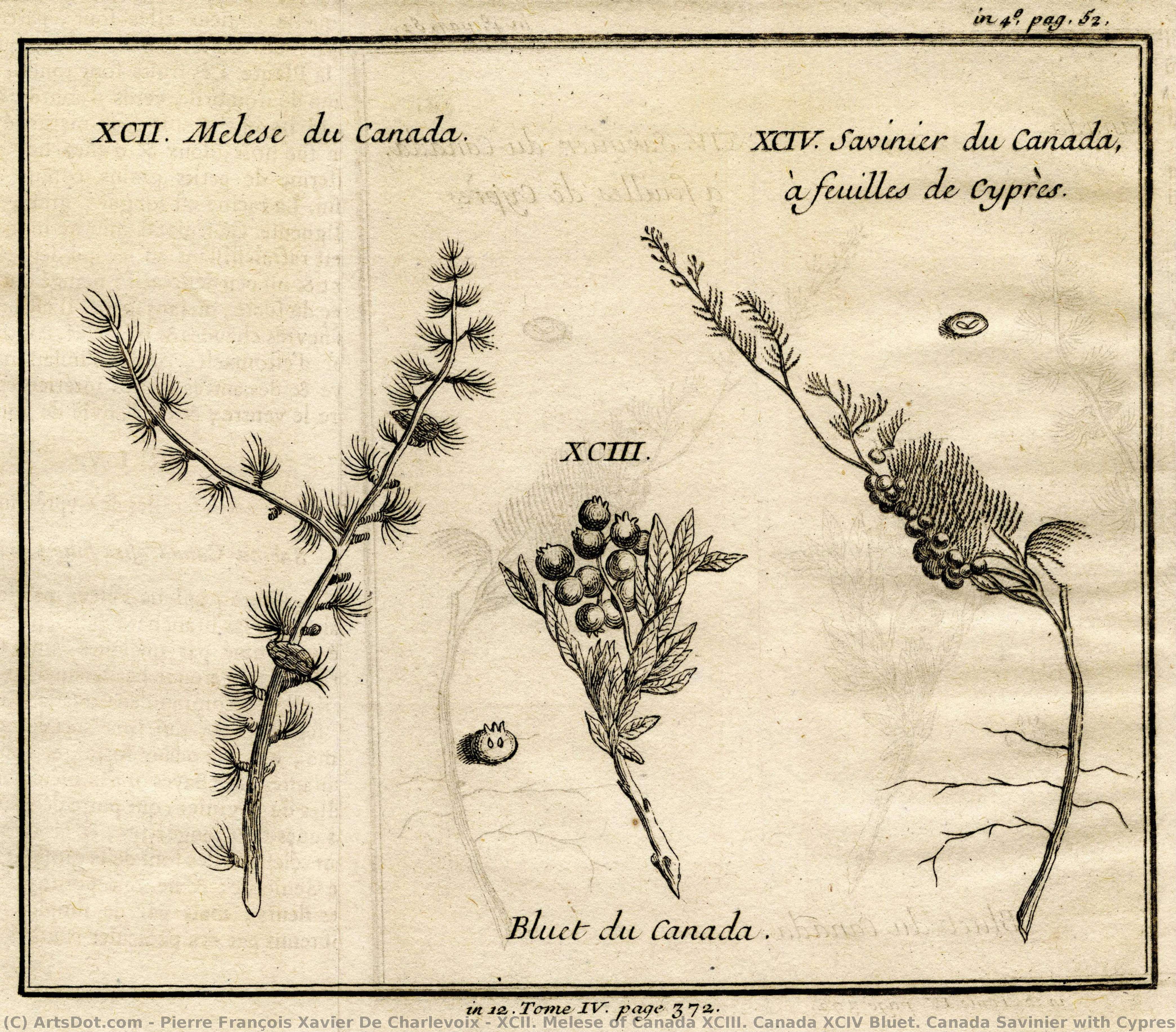 Xcii. Melese Of Canada Xciii. Canada Xciv Bluet. Canada Savinier With Cypress Leaves — Pierre François Xavier De Charlevoix
