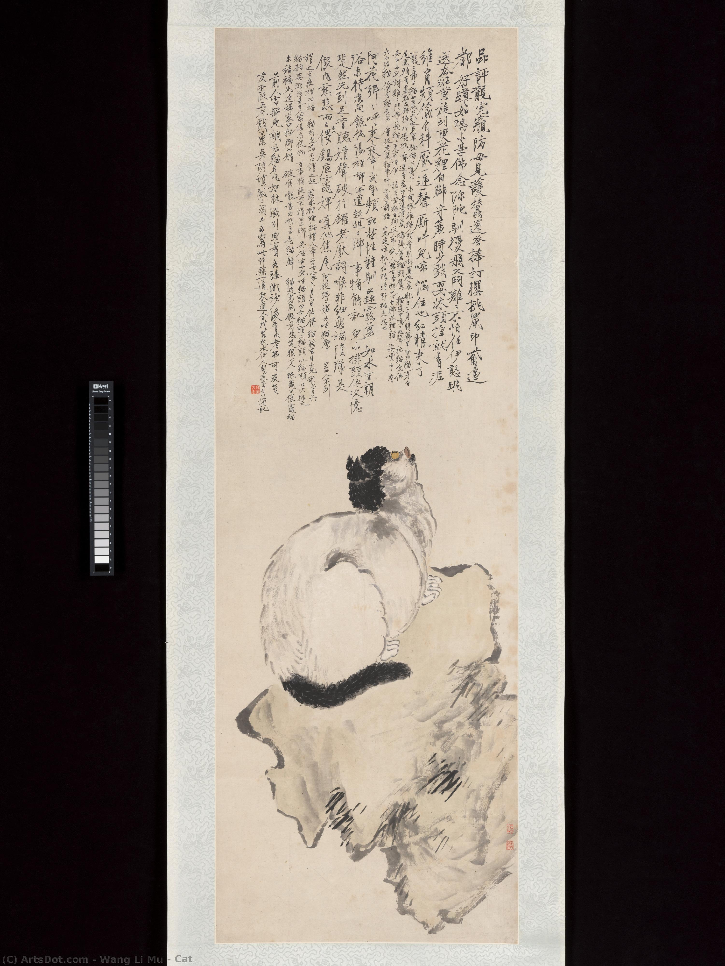 Cat — Wang Li Mu