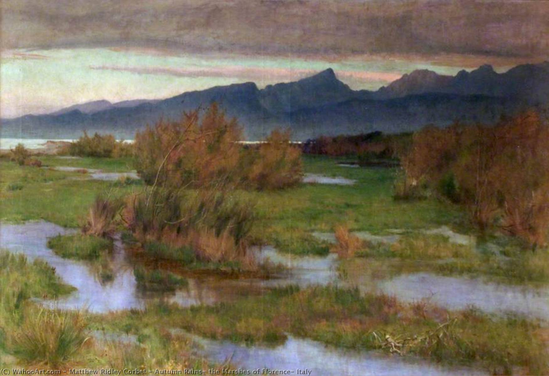 Autumn Rains, The Marshes Of Florence, Italy — Matthew Ridley Corbet