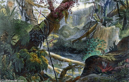 Valley In The Serra Do Mar — Jean-baptiste Debret