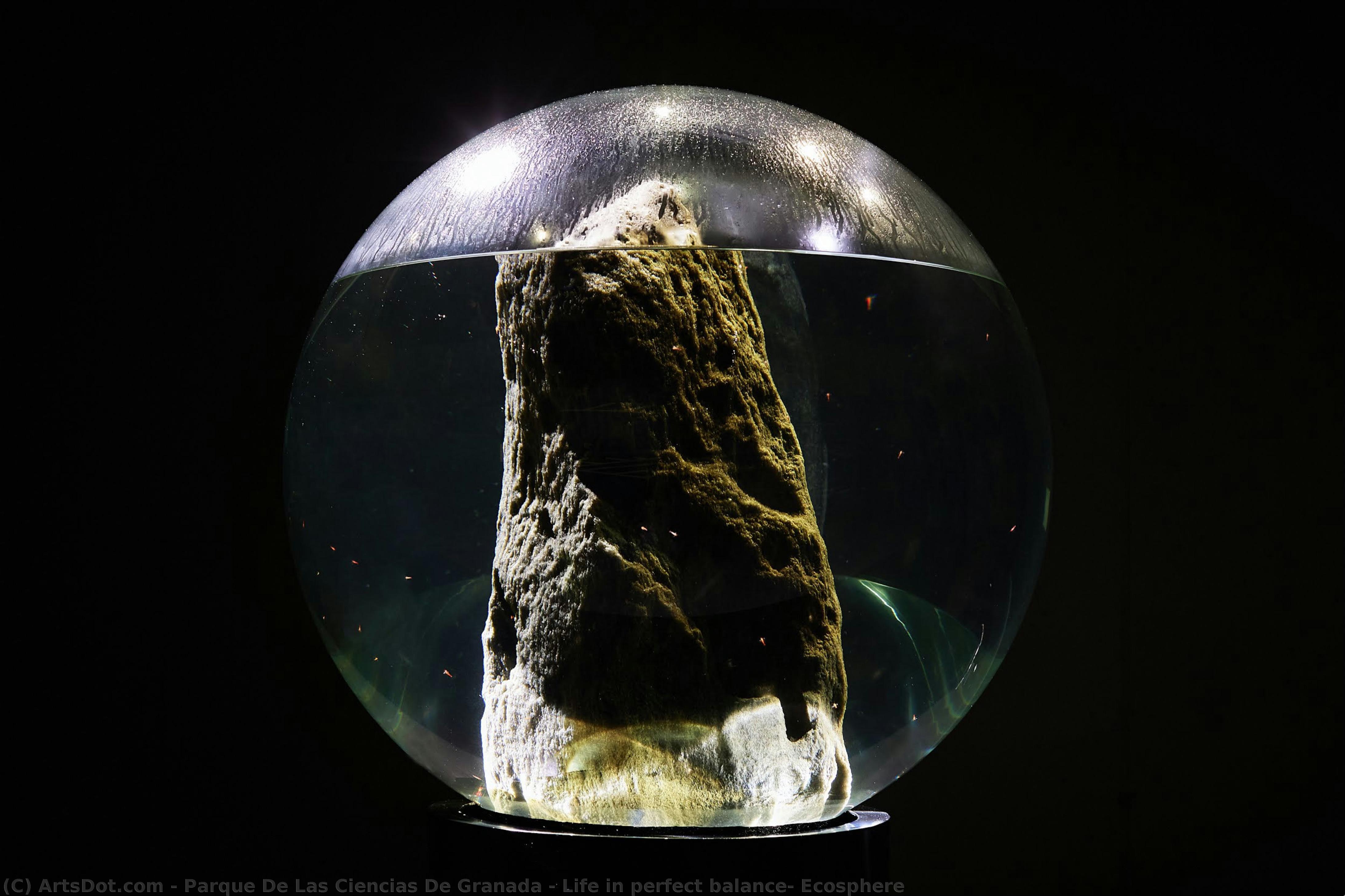 Life In Perfect Balance: Ecosphere — Parque De Las Ciencias De Granada