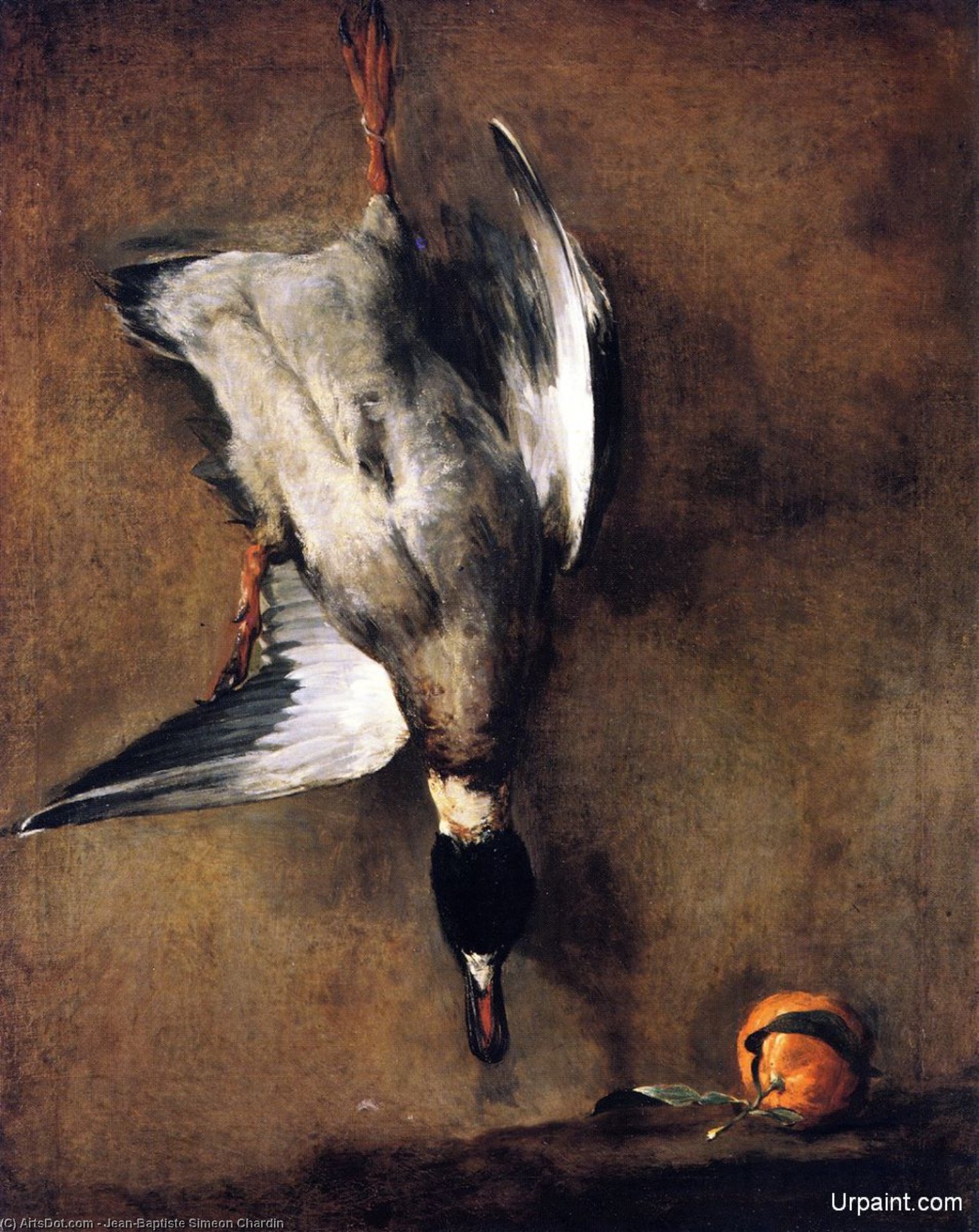 A Mallard Drake Hanging On A Wall And A Seville Orange — Jean-baptiste-siméon Chardin