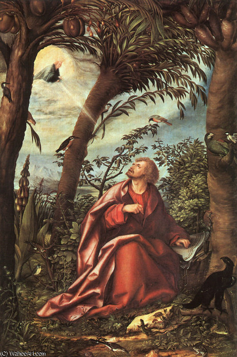 Burgkmaier St. John At Patmos, Pine Panel, Pinakothek — Hans Burgkmair