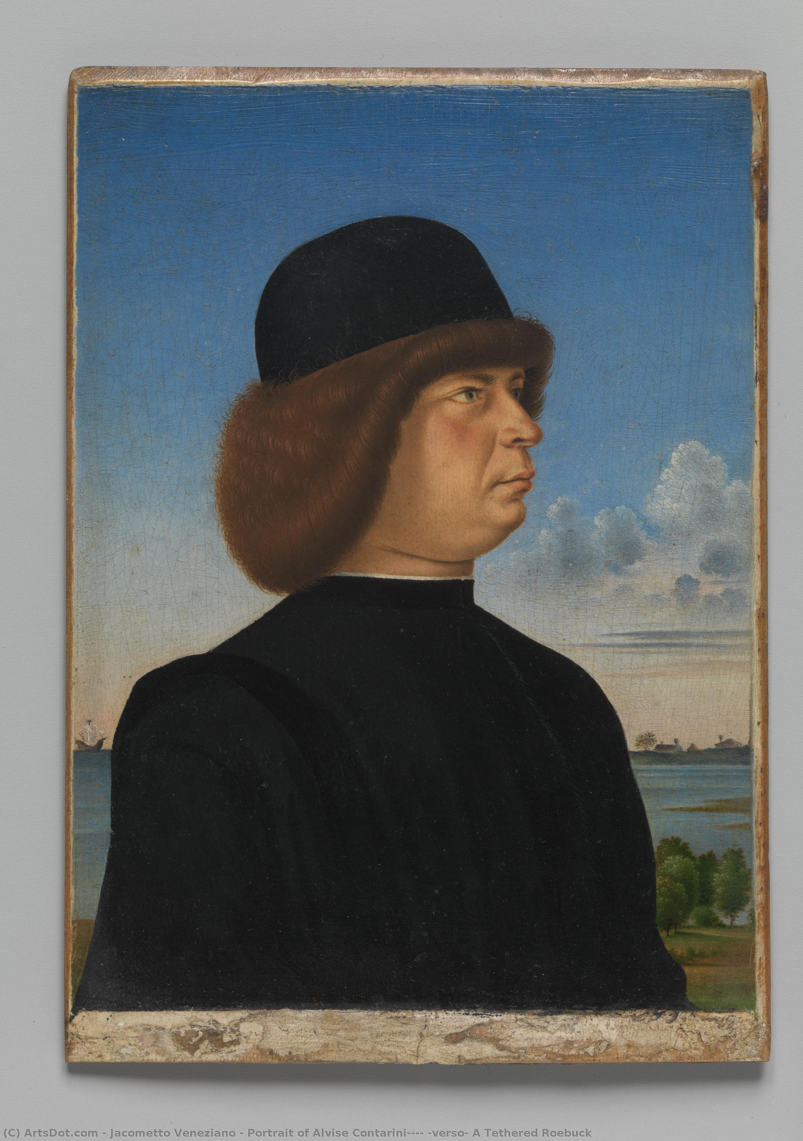 Portrait Of Alvise Contarini(?); (verso) A Tethered Roebuck — Jacometto Veneziano