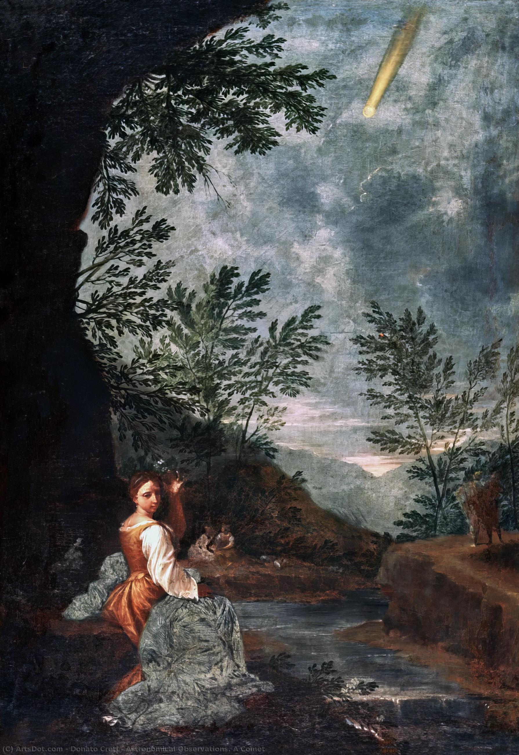 Astronomical Observations. A Comet — Донато Крети