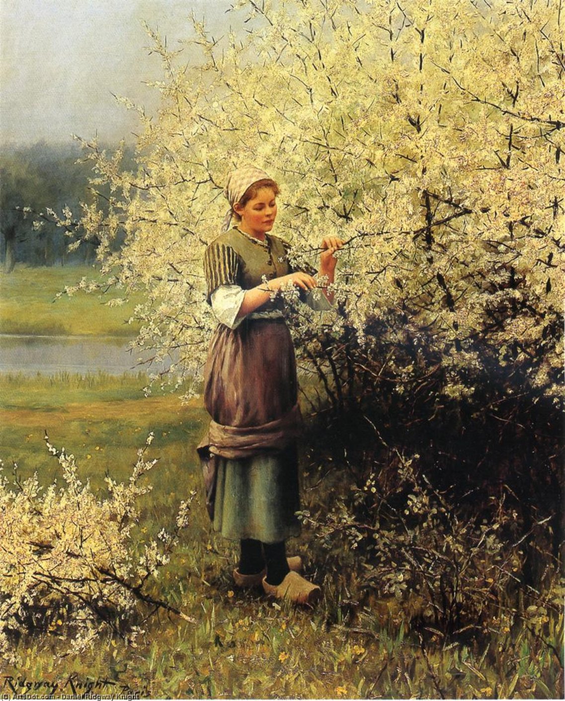 Spring Blossoms — ダニエル・リジウェイ・ナイト