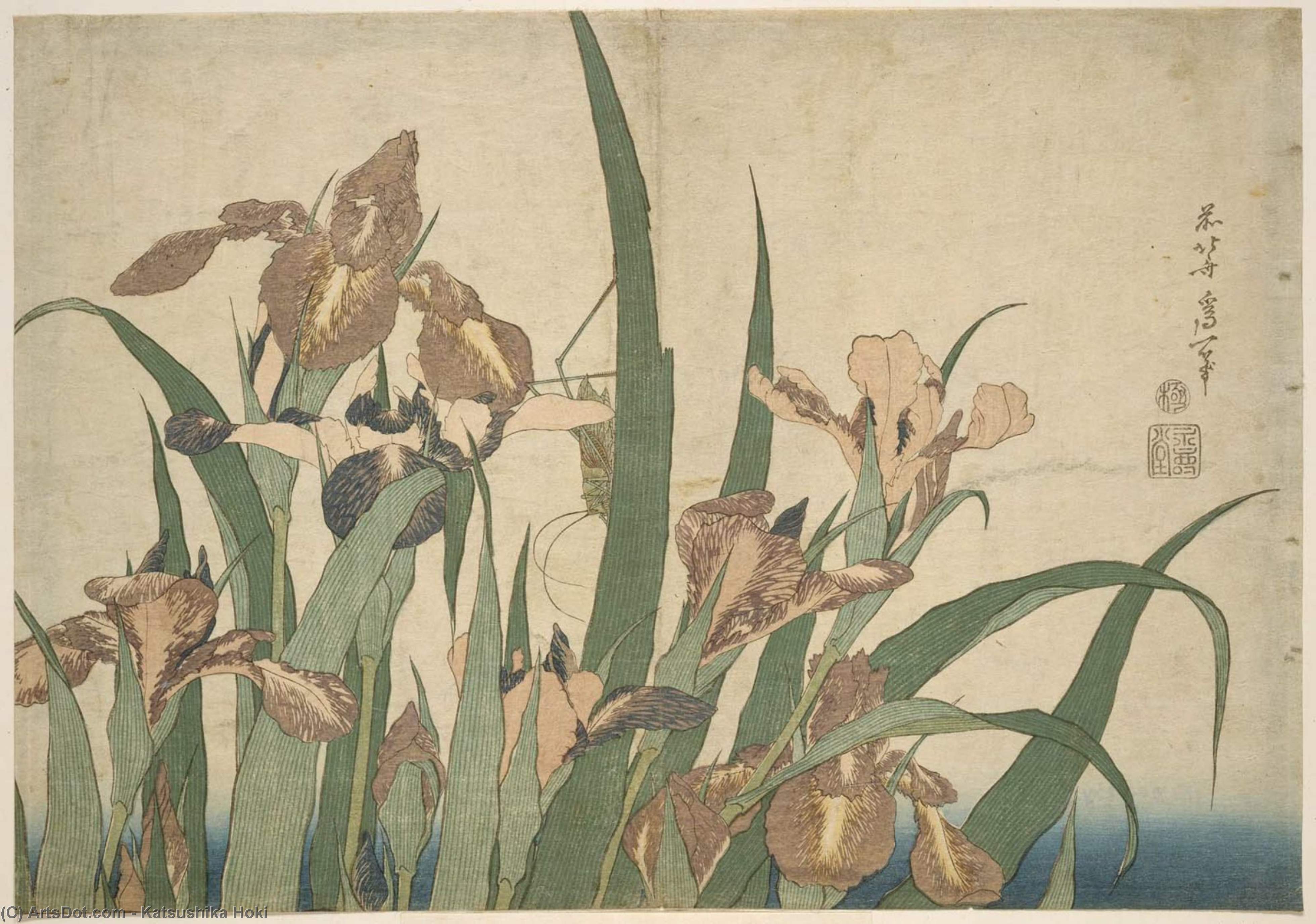 妖蝶と蛙 — Katsushika Hokusai