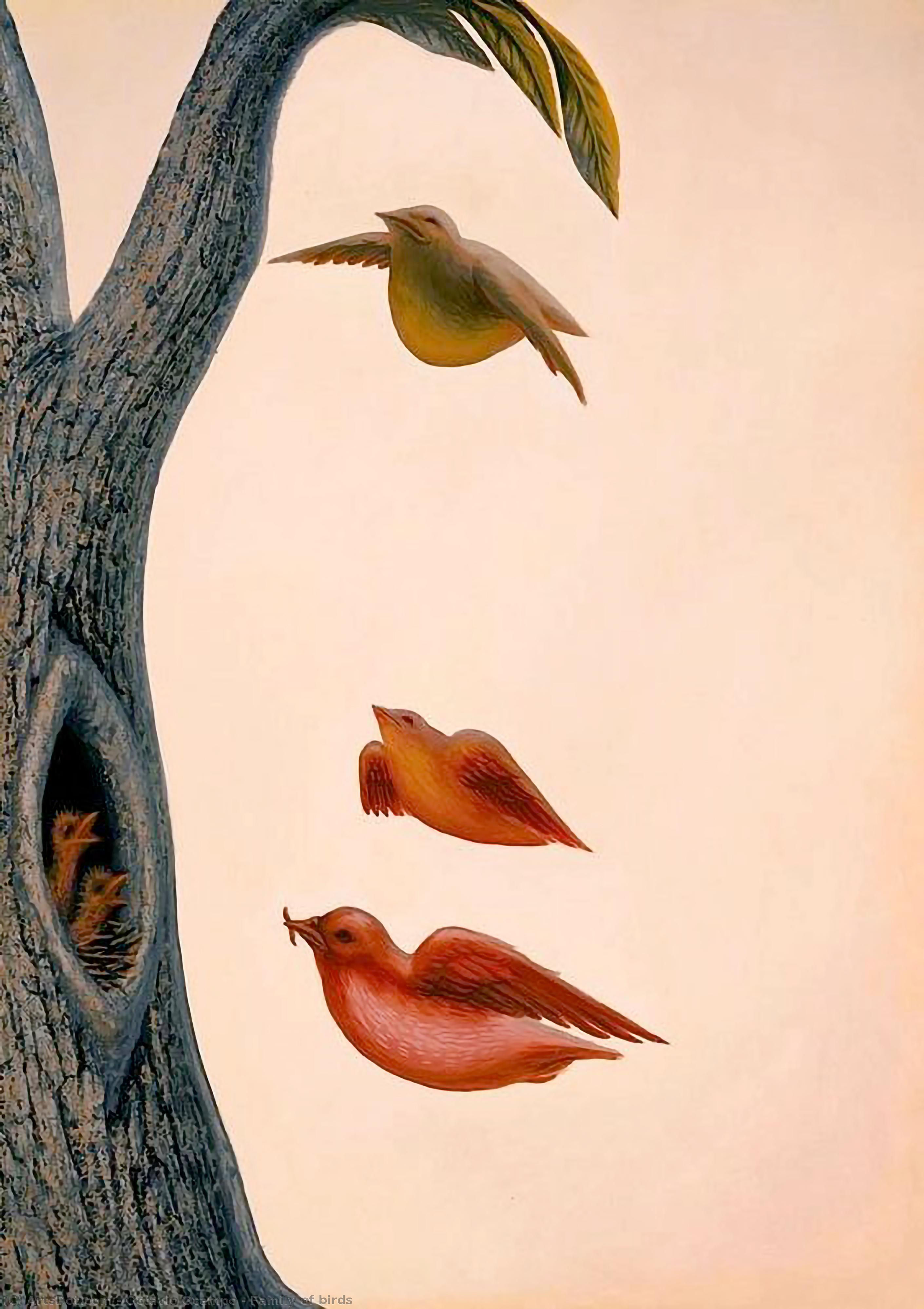 Family Of Birds — Octavio Ocampo