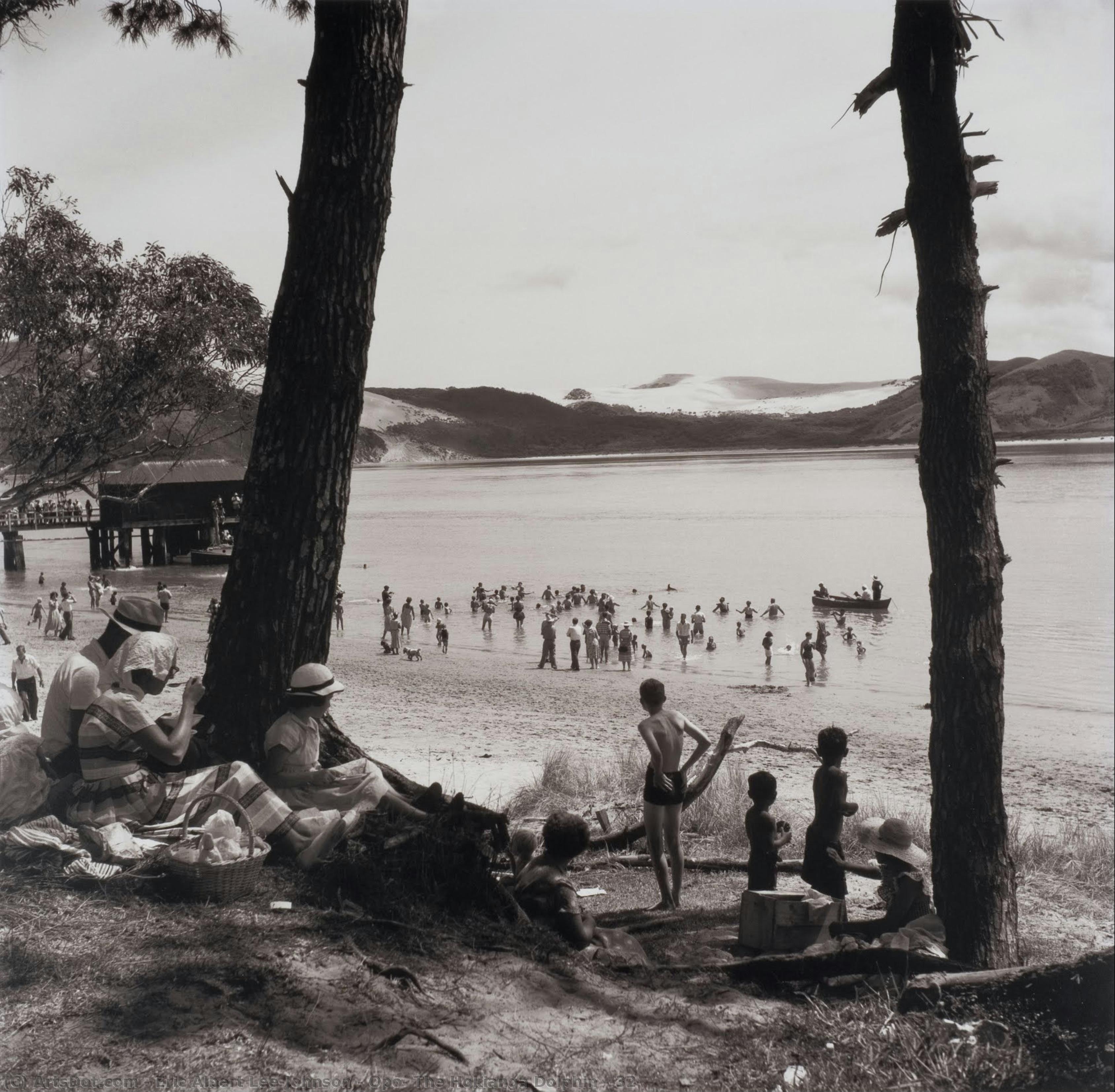 Opo: The Hokianga Dolphin (#32) — Eric Albert Lee-johnson