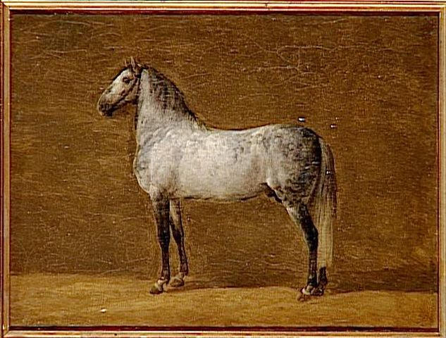 Cheval De Napoléon Ier Le Cheikh — Martinet Pierre