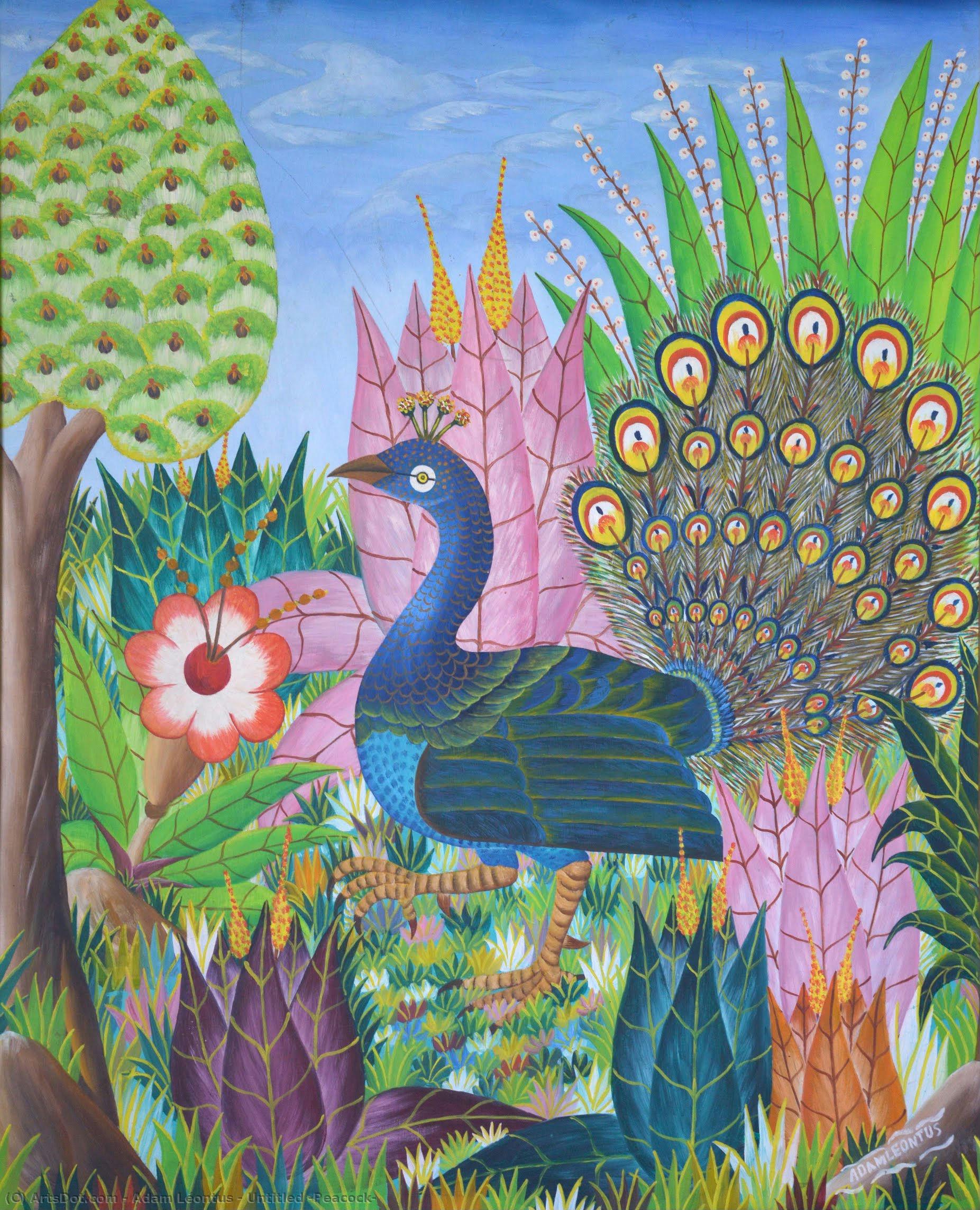 Untitled (peacock) — Adam Léontus