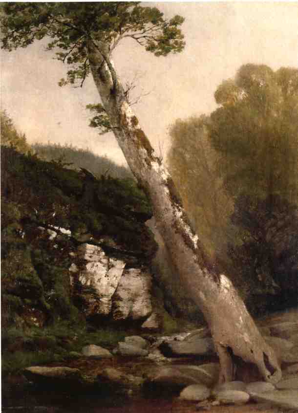 Sycamore, Catskill Clove, Below Haines Falls — John Williamson