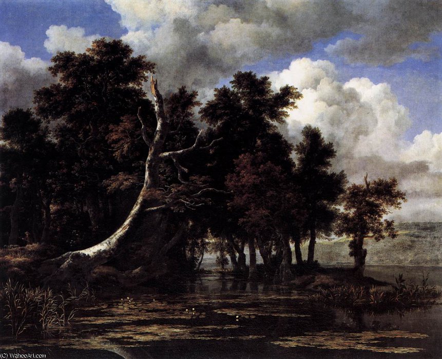 Oaks By A Lake With Waterlilies — Jacob Isaackszoon Van Ruisdael