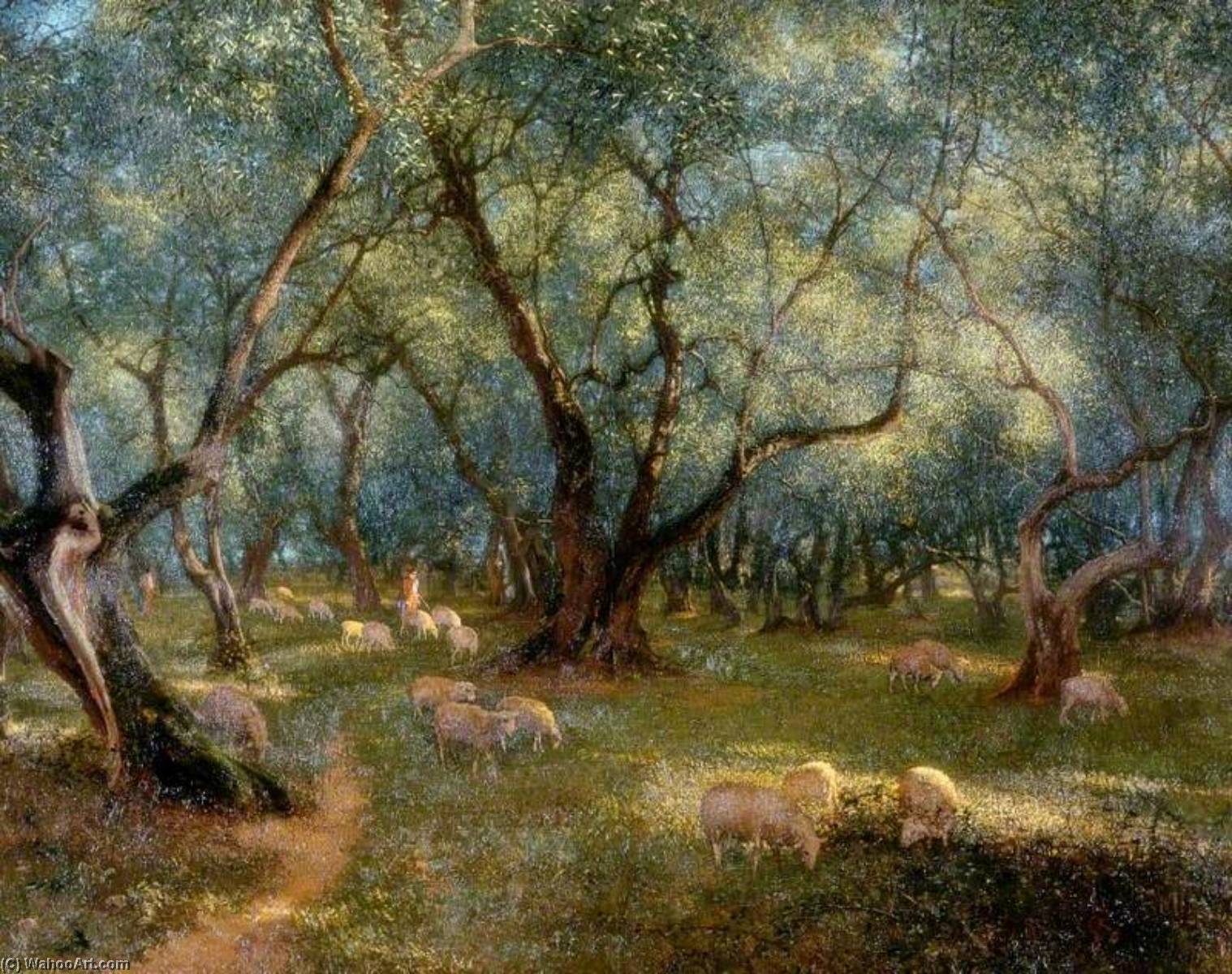 Olives Of St Rocco — Thomas Bowman Garvie