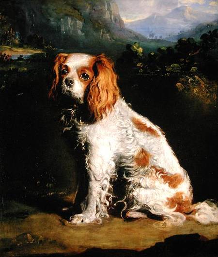 A King Charles Spaniel — George Philip Reinagle