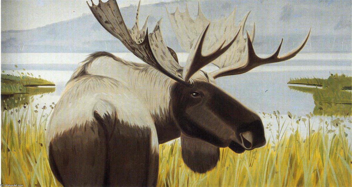 Moosehorn State Park — Алекс Катц