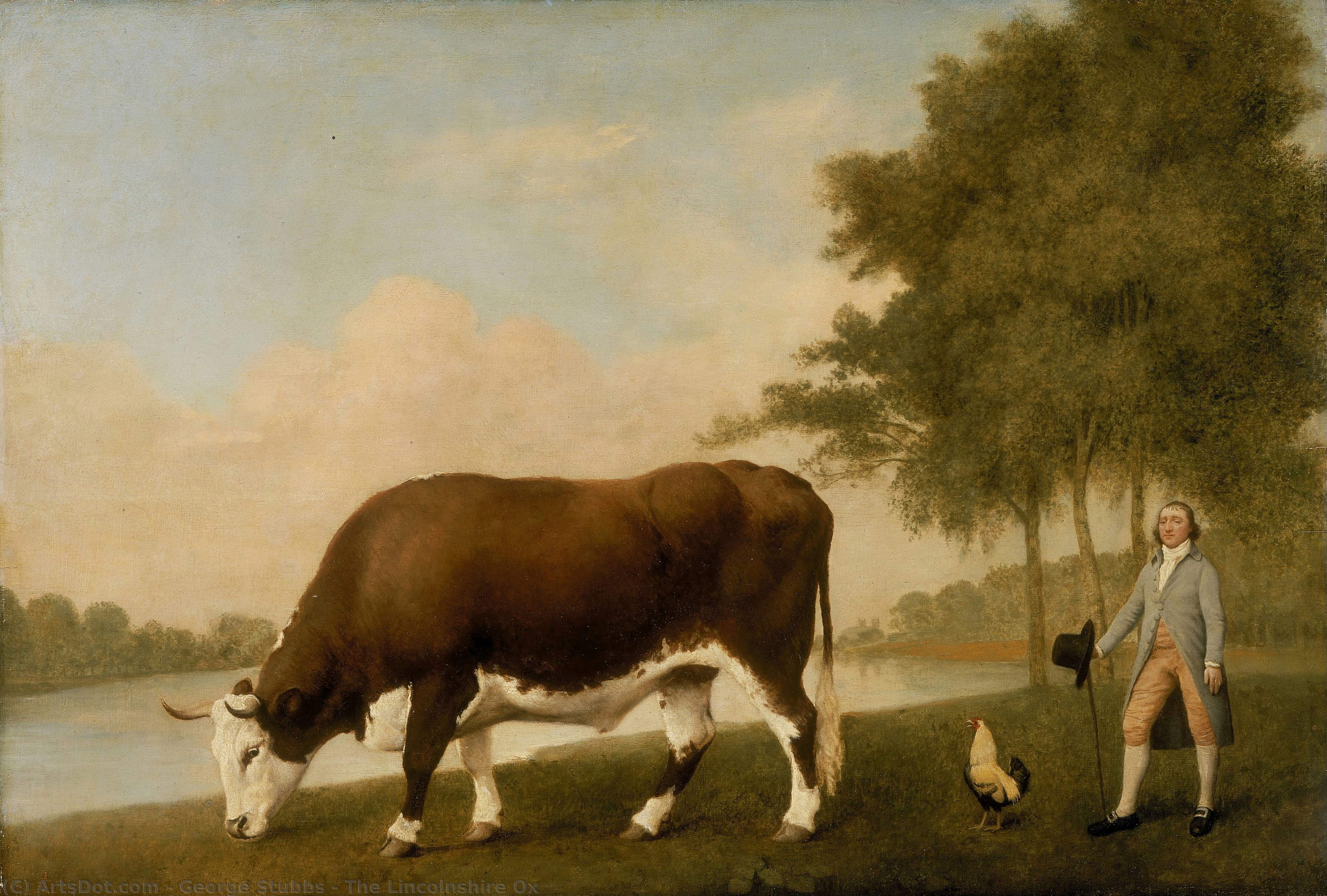 The Lincolnshire Ox — George Stubbs