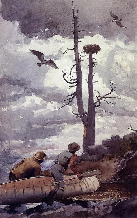 Osprey's Nest — Winslow Homer