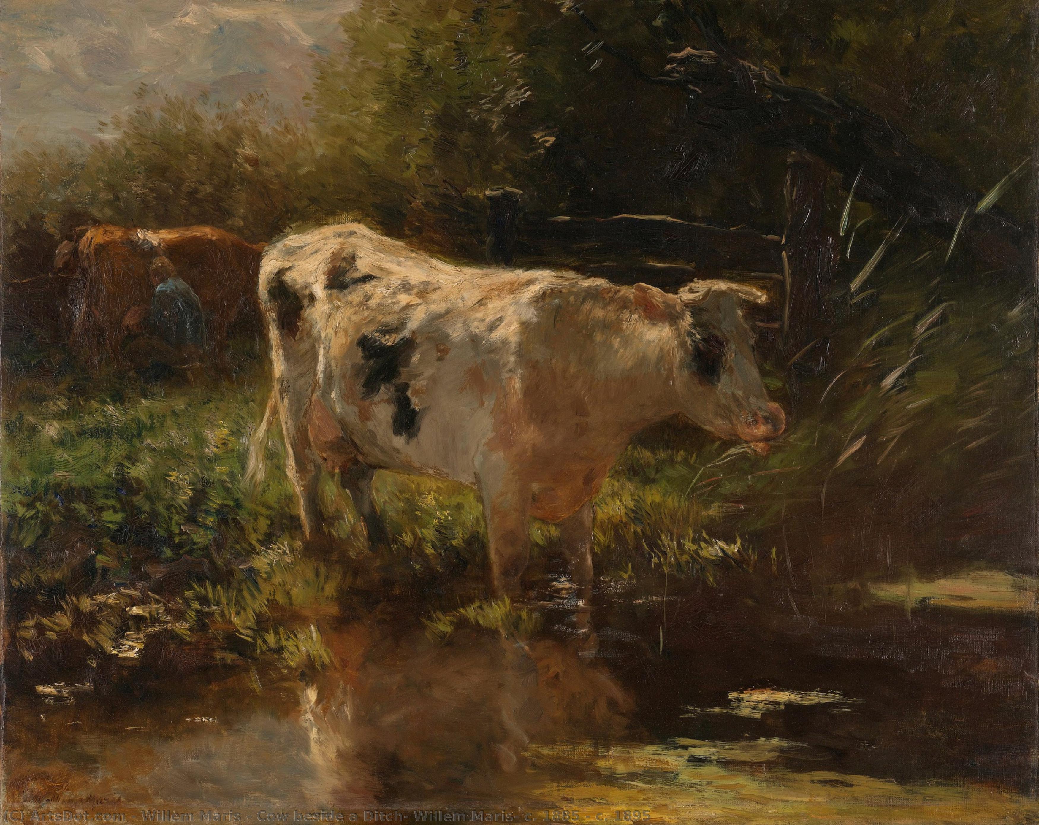 Cow Beside A Ditch, Willem Maris, C. 1885 - C. 1895 — Willem Maris