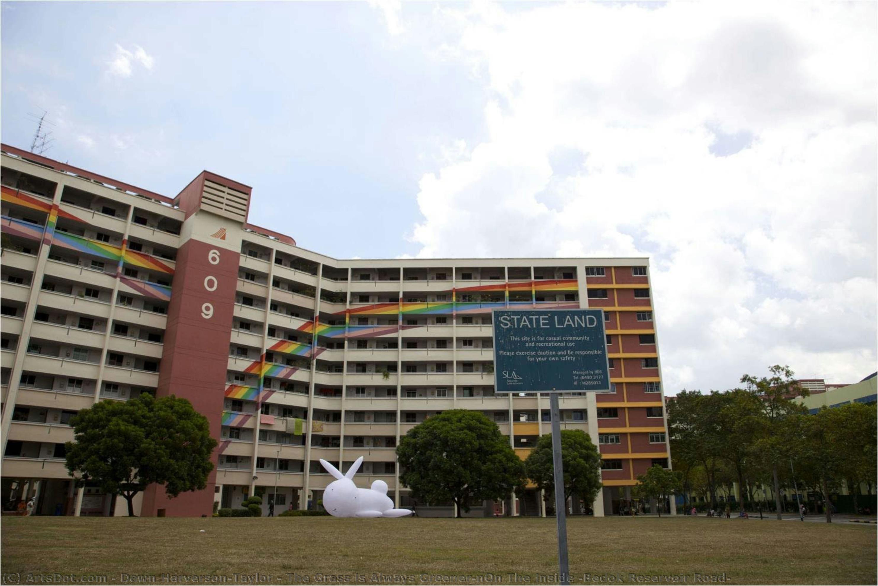 The Grass Is Always Greener\non The Inside (bedok Reservoir Road) — Dawn Harverson-taylor