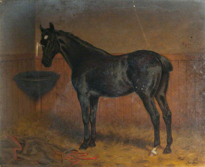 'blackbird', A Dark Bay Racehorse In A Stable — Thomas Hall