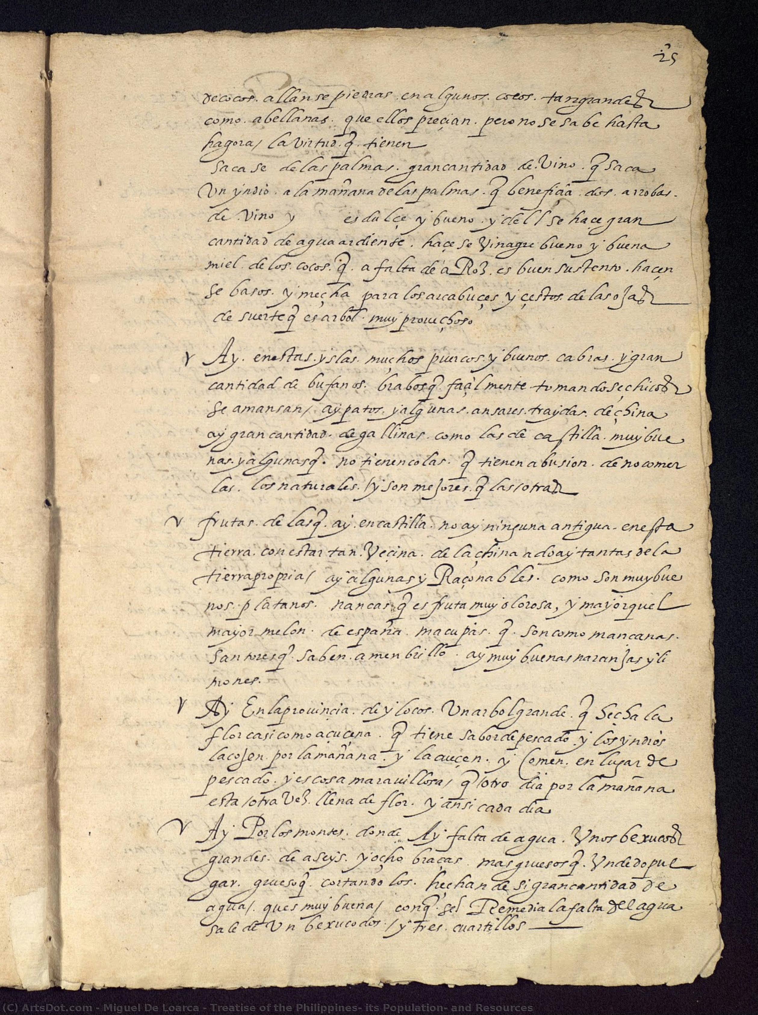 Treatise Of The Philippines, Its Population, And Resources — Miguel De Loarca