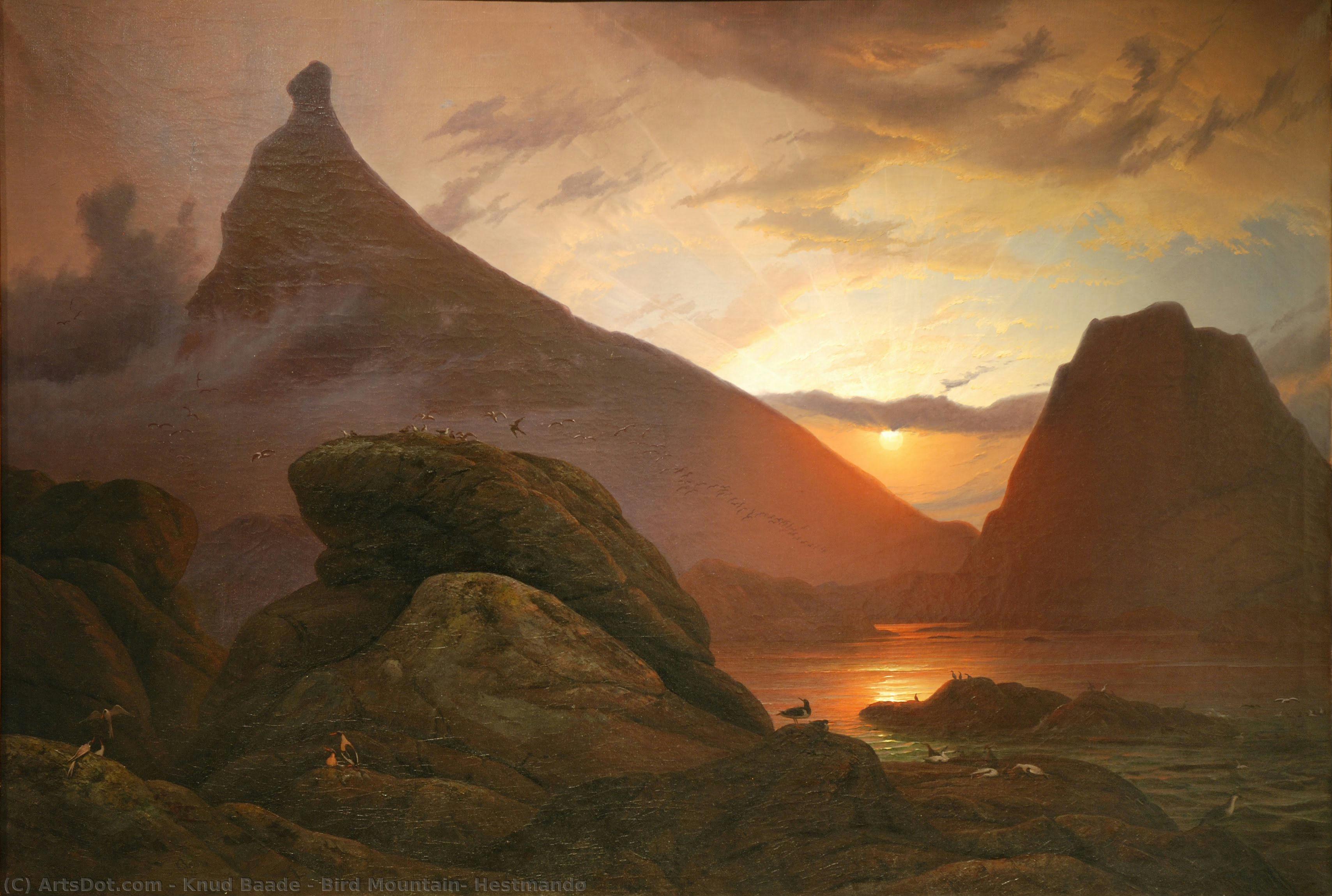 Bird Mountain, Hestmandø — Knud Baade