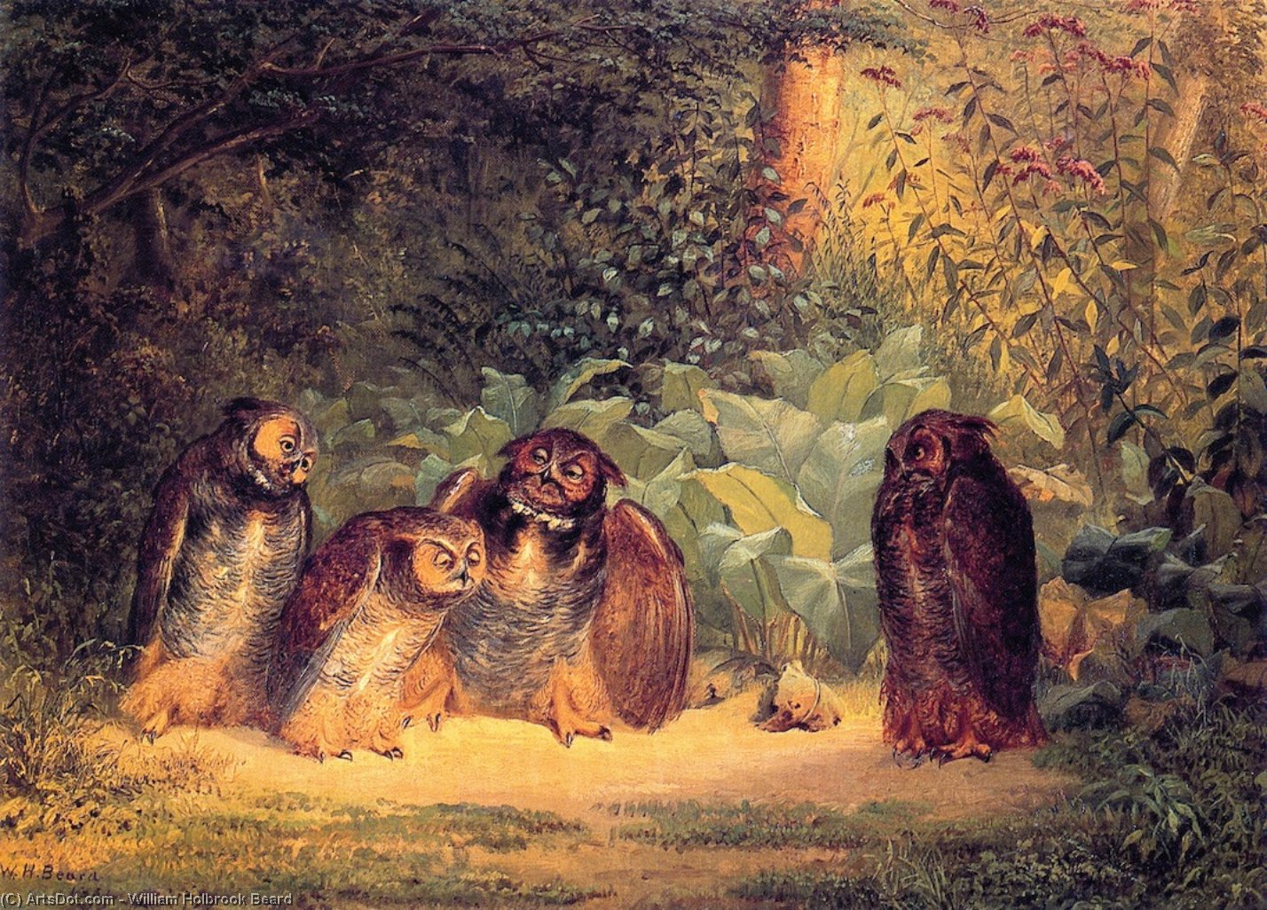 Owls — ウィリアム・ホルブルック・ビアード