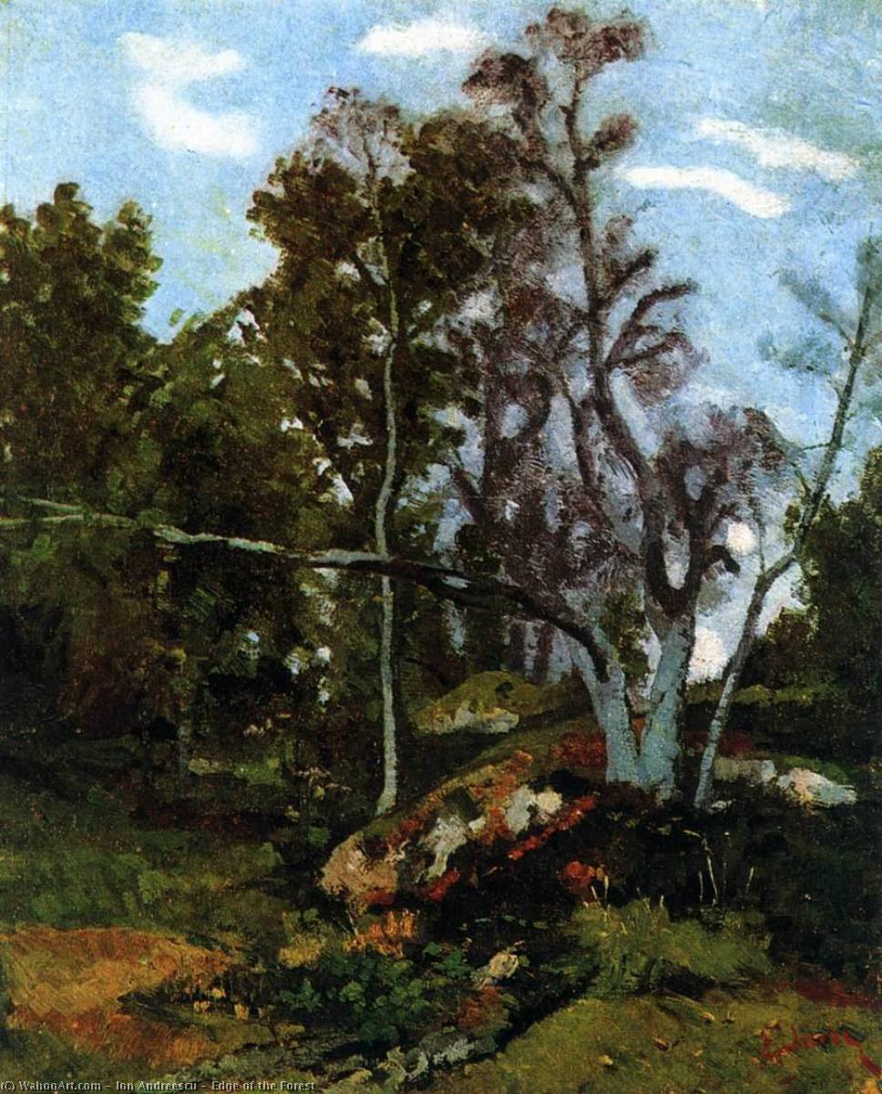 Edge Of The Forest — Ion Andreescu