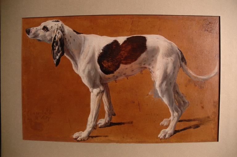 Concorde, Chienne De La Meute De Louis Xiv — Alexandre François Desportes