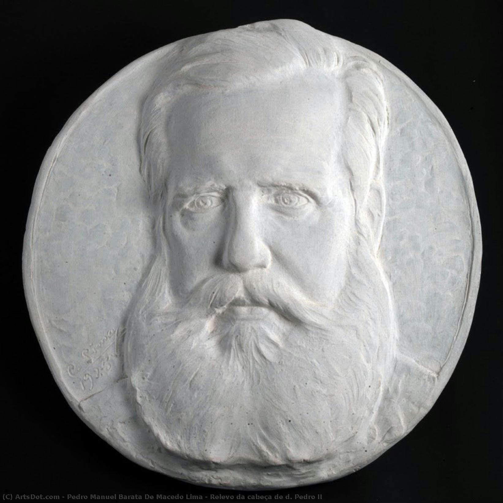 Relevo Da Cabeça De D. Pedro Ii — Pedro Manuel Barata De Macedo Lima